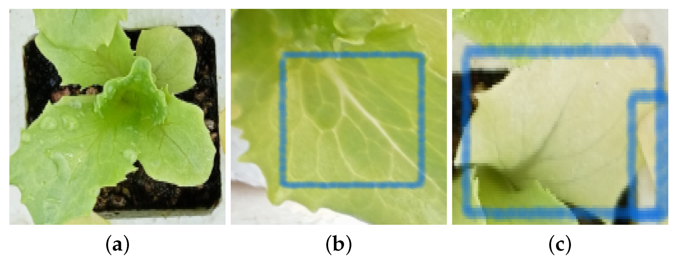 Agriengineering 06 00198 g002