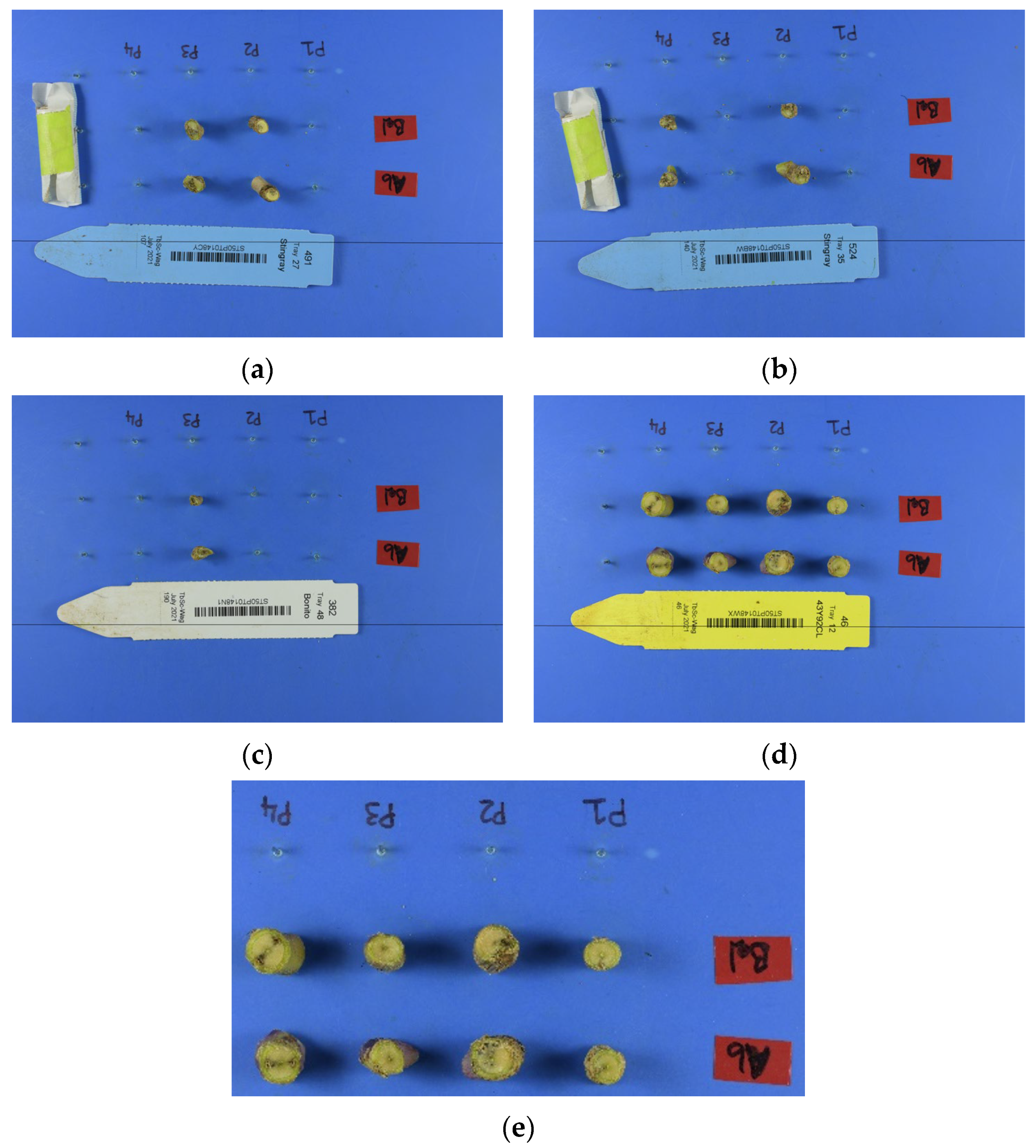 Agriengineering 06 00199 g001