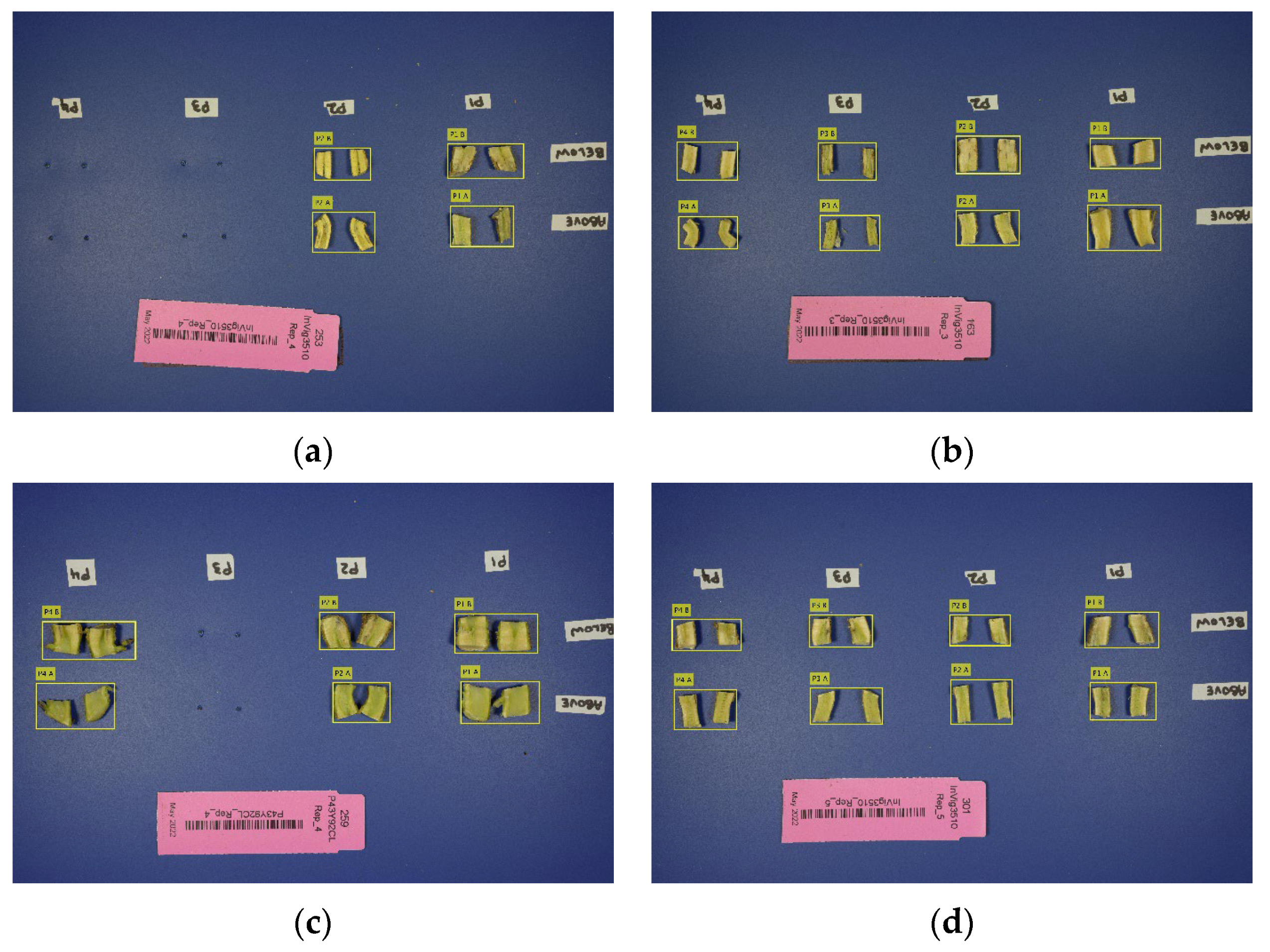 Agriengineering 06 00199 g010