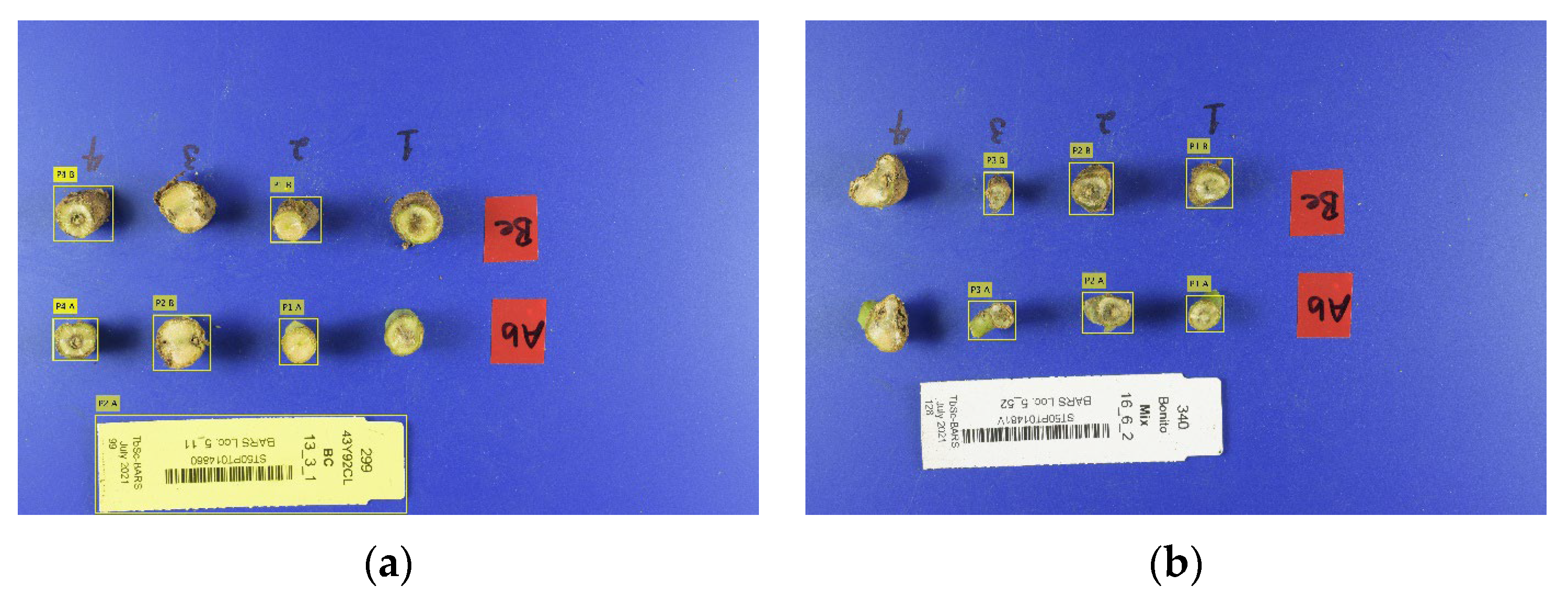 Agriengineering 06 00199 g011