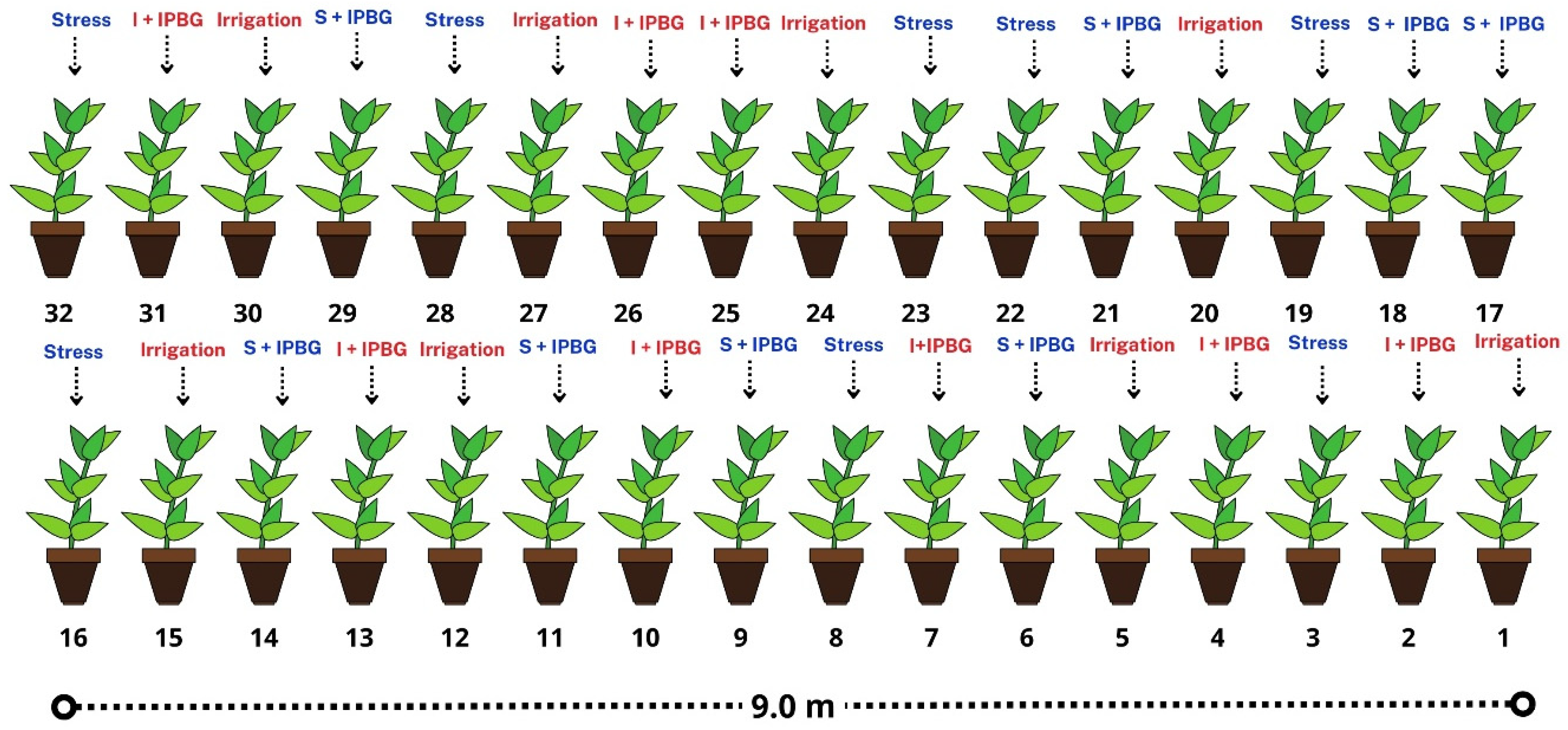 Agriengineering 06 00227 g006