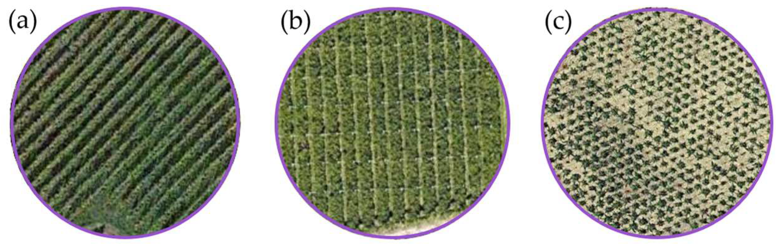 Agriengineering 06 00232 g004