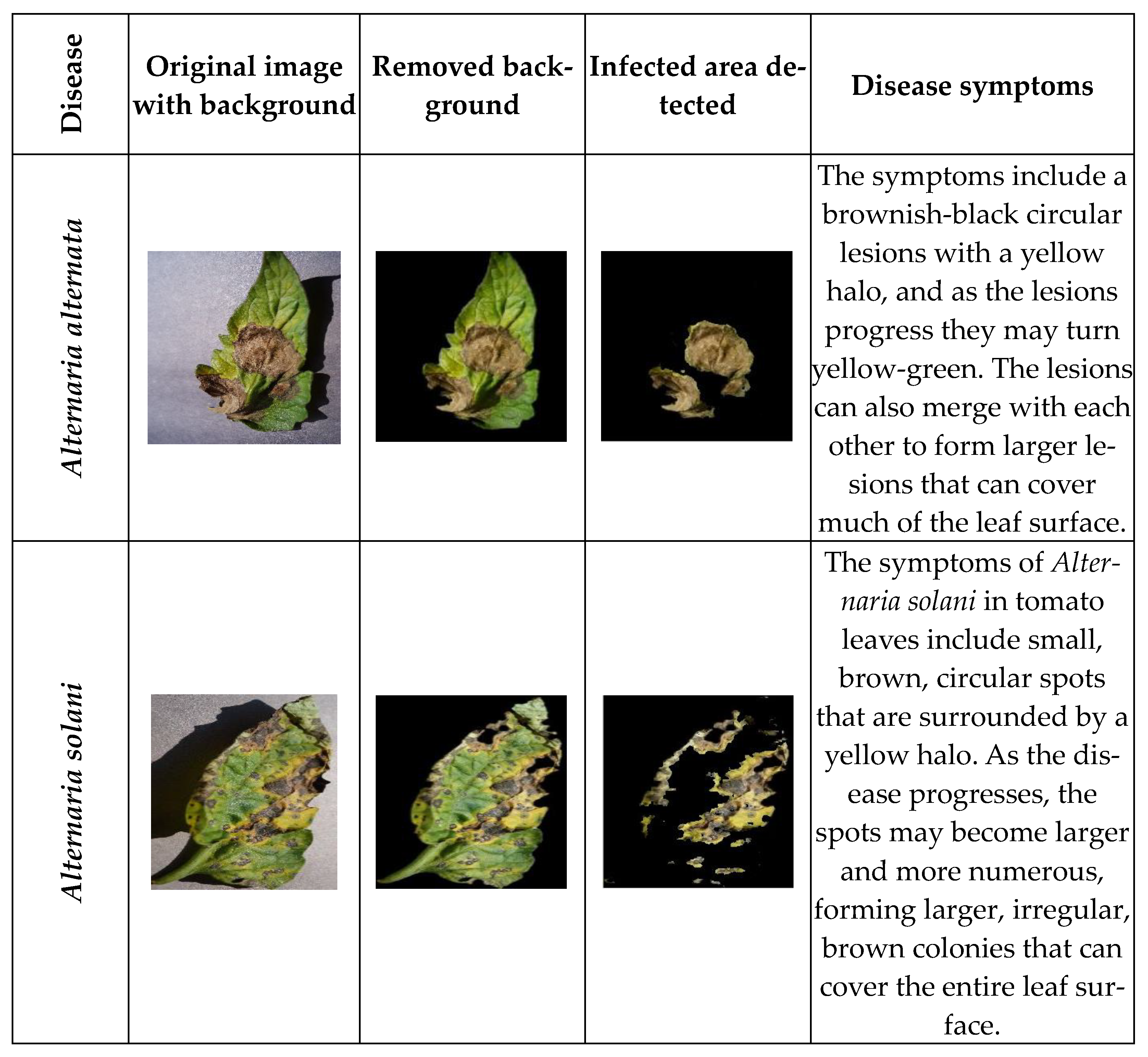 Agriengineering 06 00238 g003a