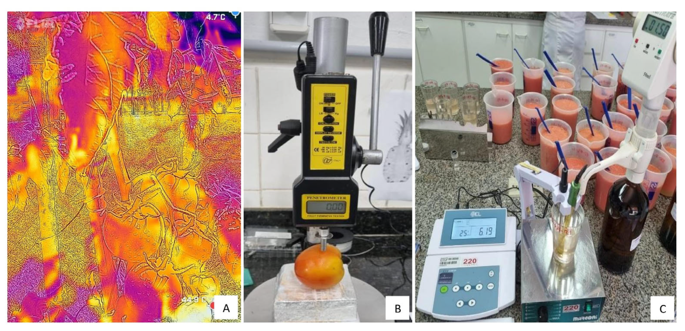 Agriengineering 06 00247 g001