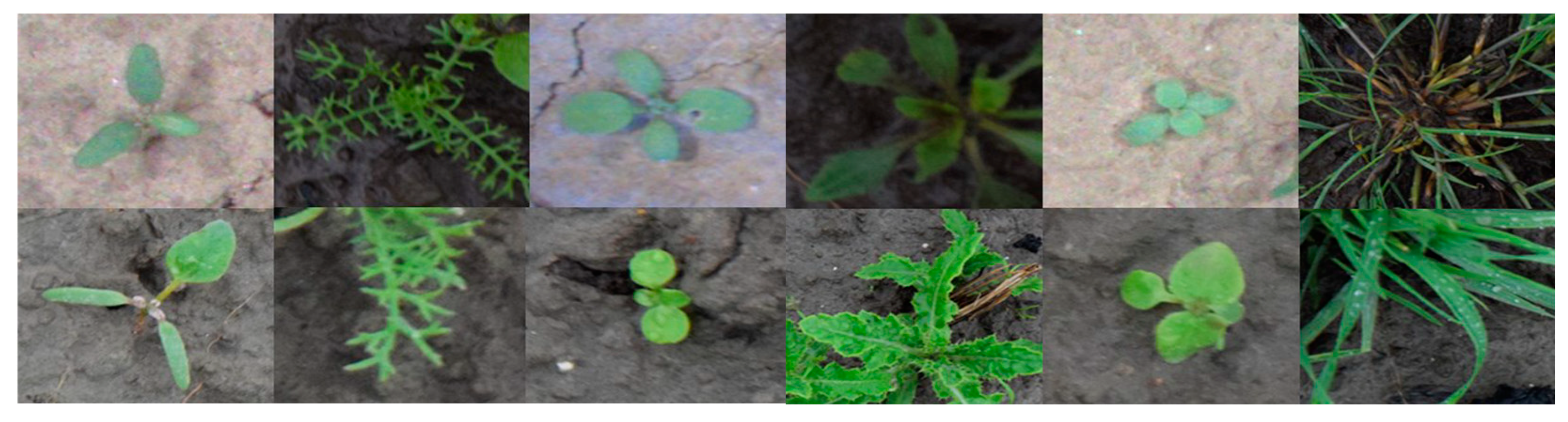 Agriengineering 06 00251 g003