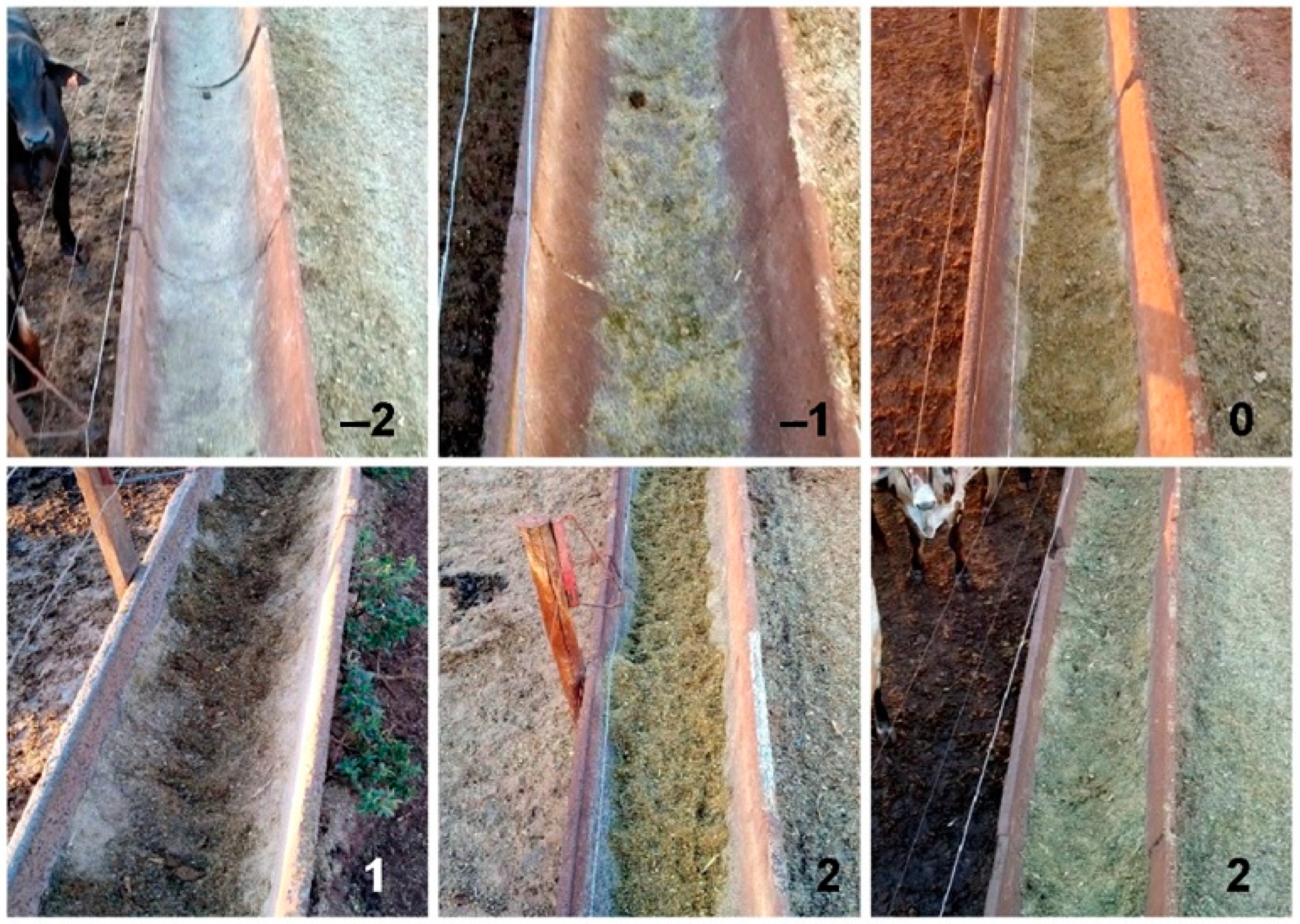 Agriengineering 06 00253 g001 Agriengineering 06 00253 g001