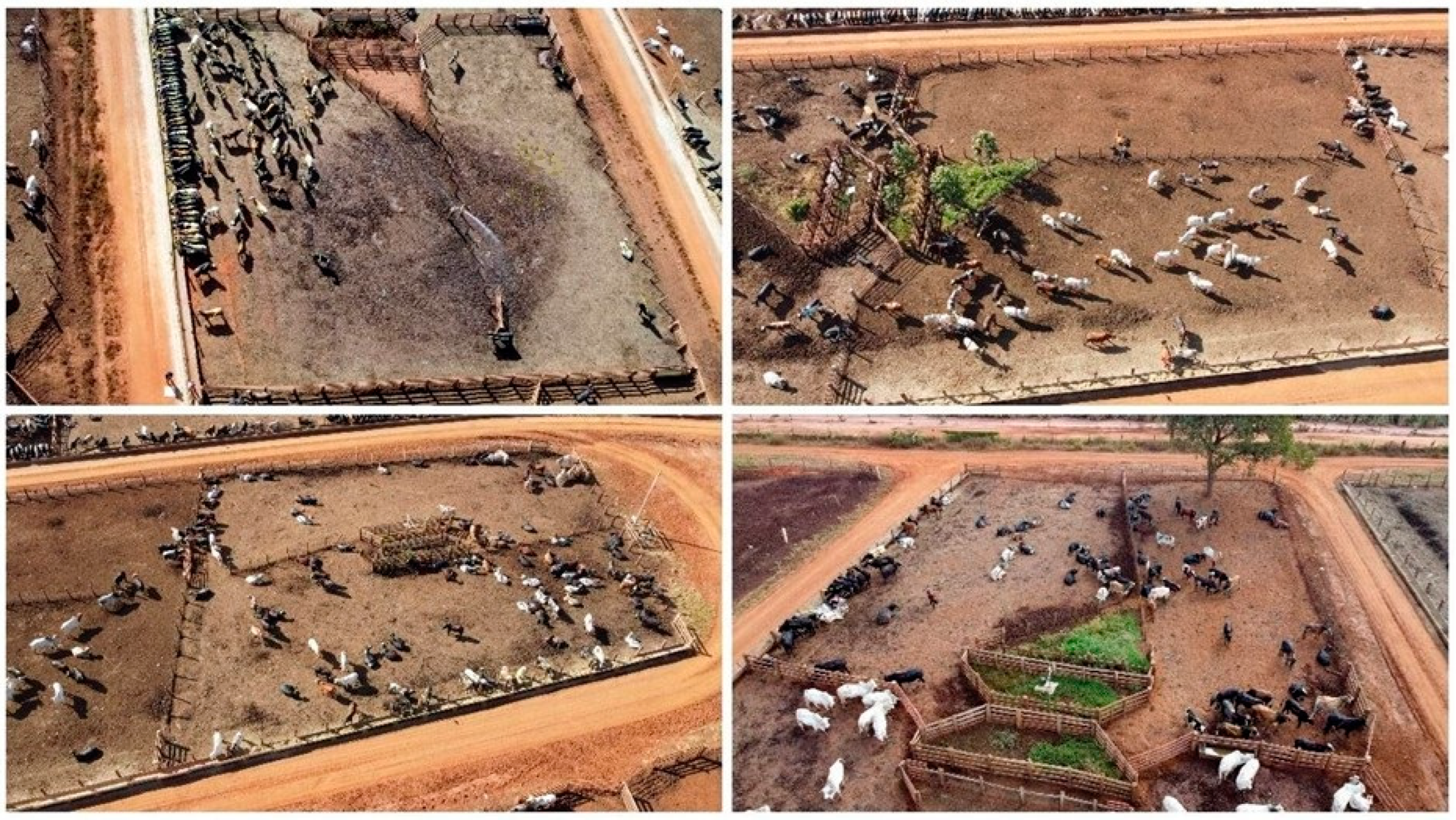 Agriengineering 06 00253 g002 Agriengineering 06 00253 g002