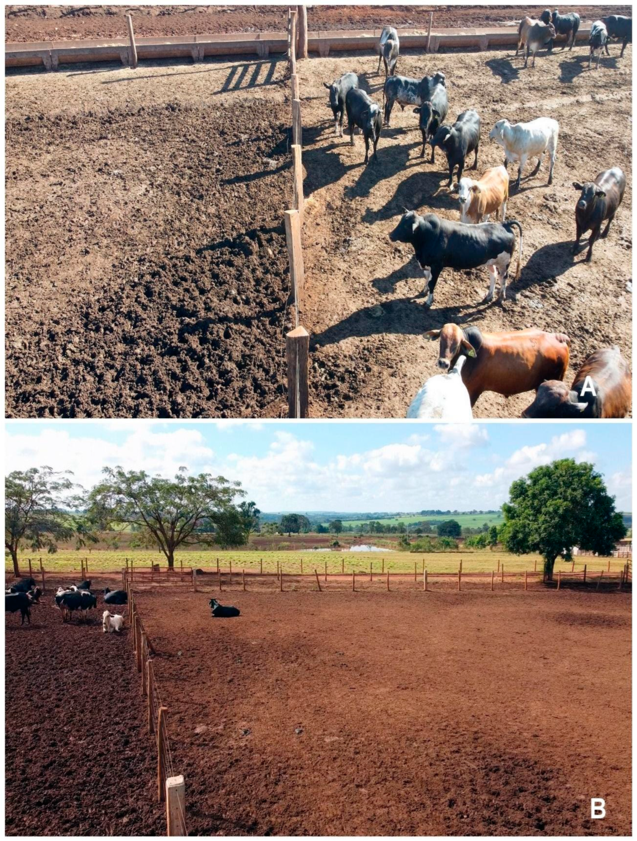 Agriengineering 06 00253 g008 Agriengineering 06 00253 g008