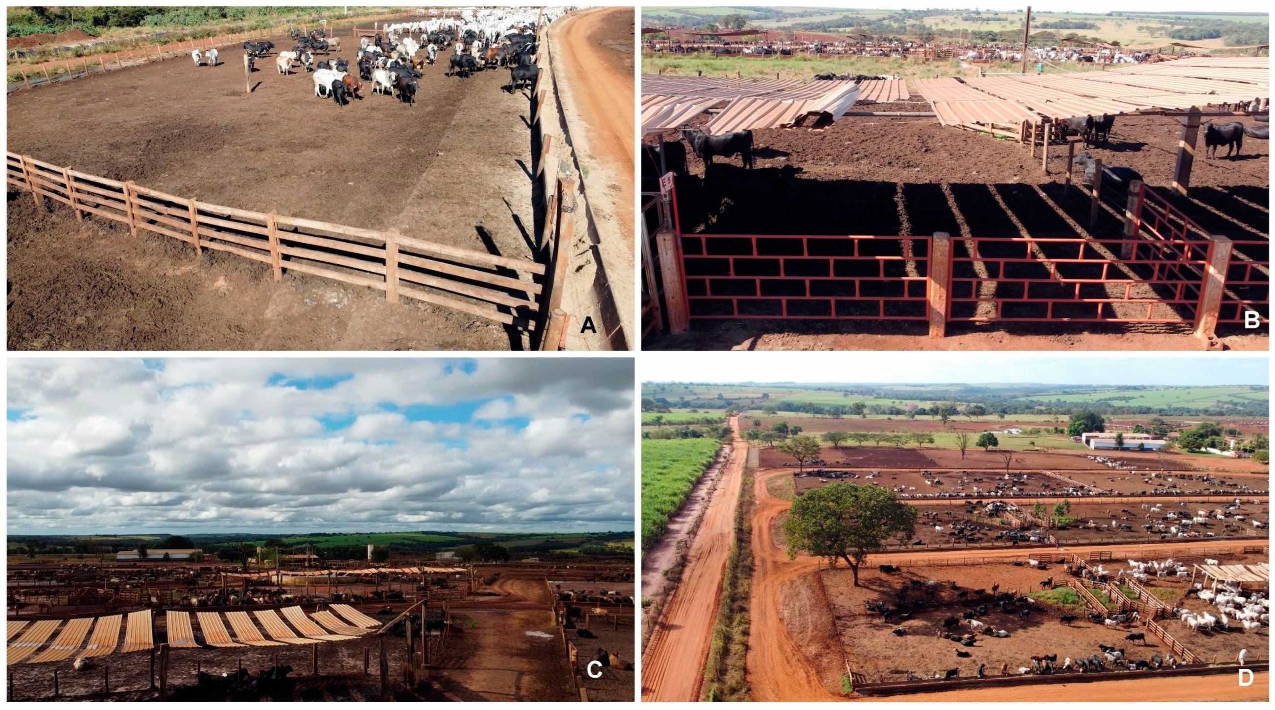 Agriengineering 06 00253 g009 Agriengineering 06 00253 g009