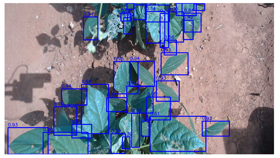 Agriengineering 06 00262 i003