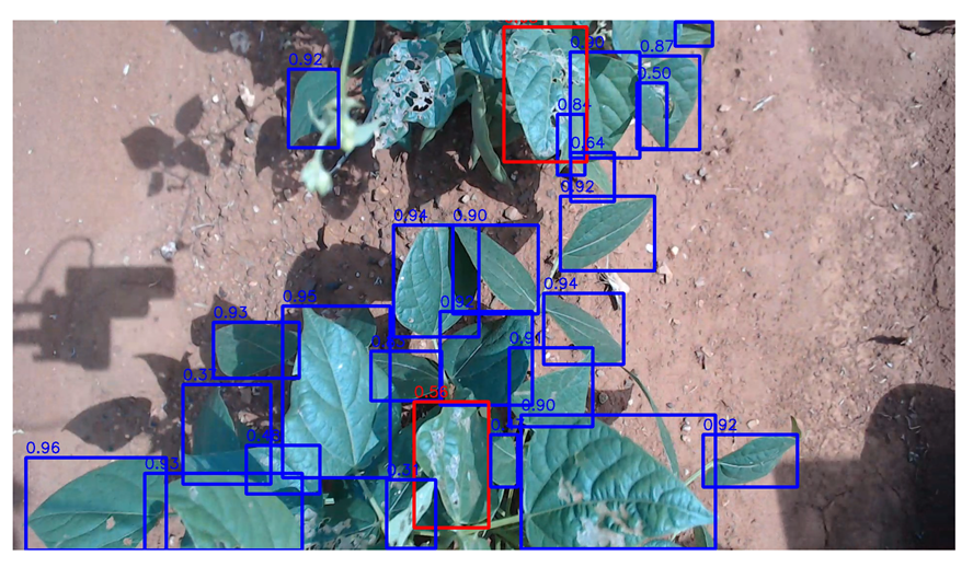 Agriengineering 06 00262 i009