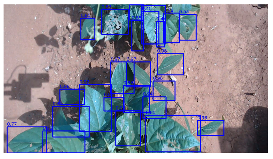 Agriengineering 06 00262 i012