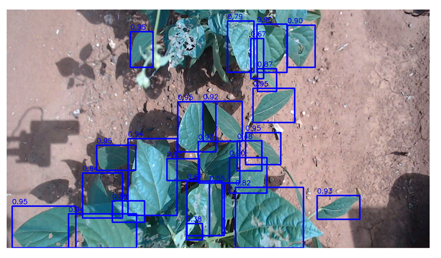 Agriengineering 06 00262 i021