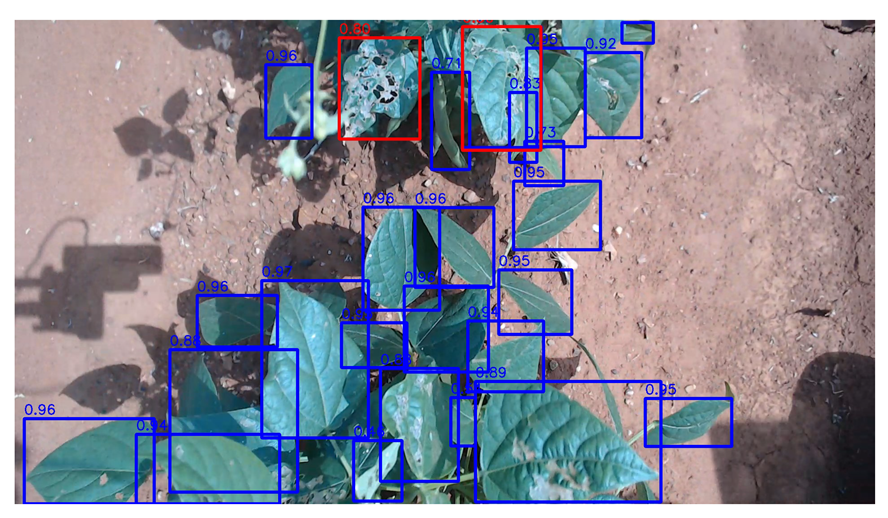 Agriengineering 06 00262 i039