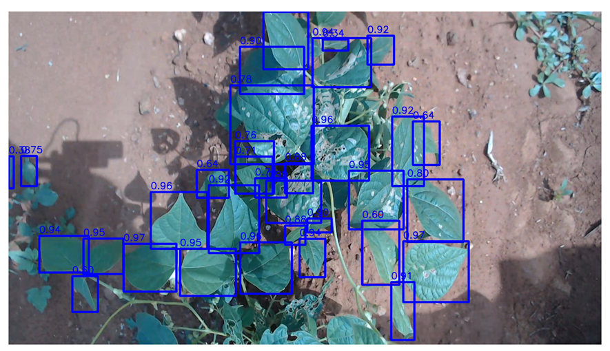 Agriengineering 06 00262 i041