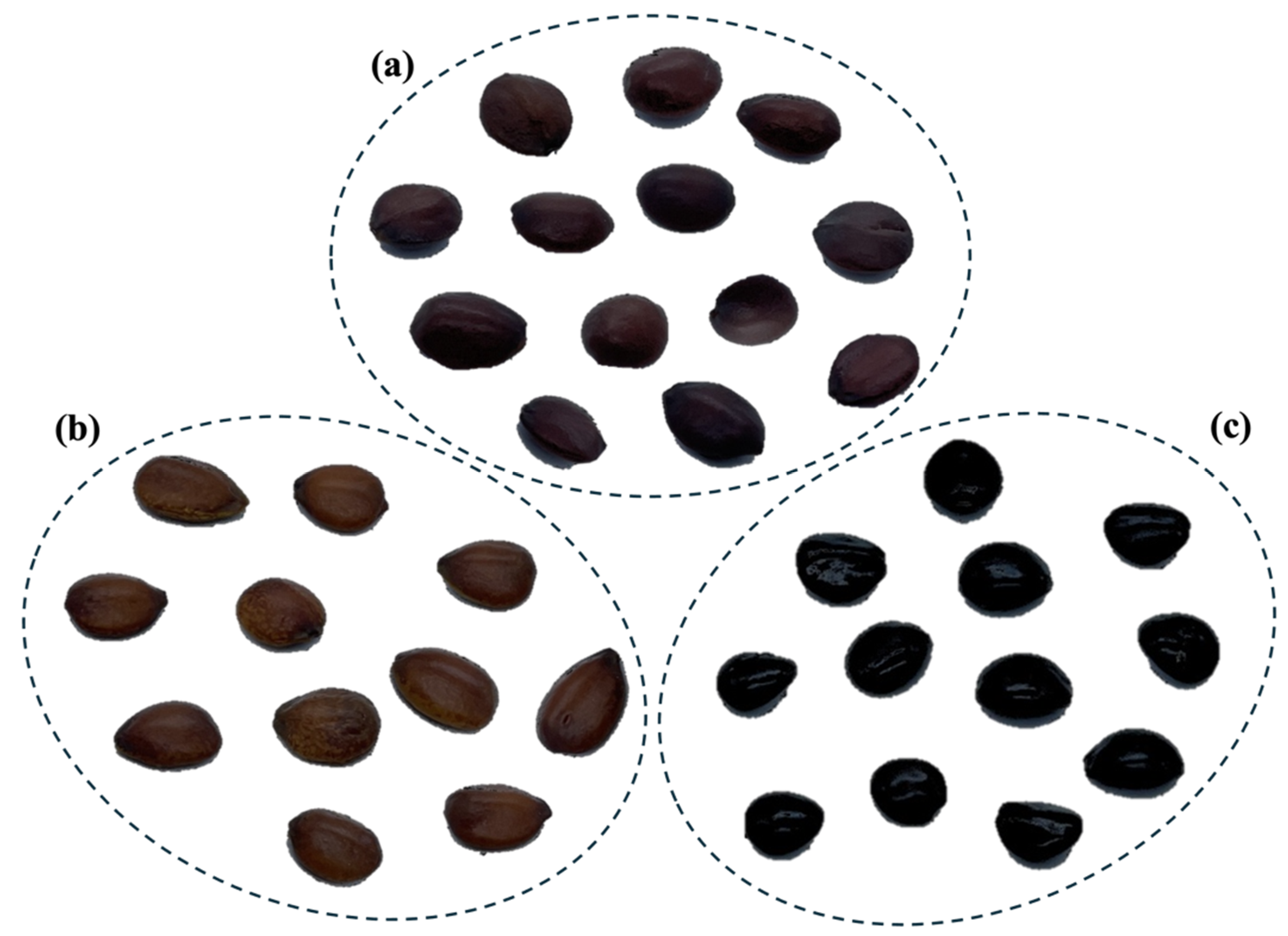 Agriengineering 06 00263 g001 Agriengineering 06 00263 g001