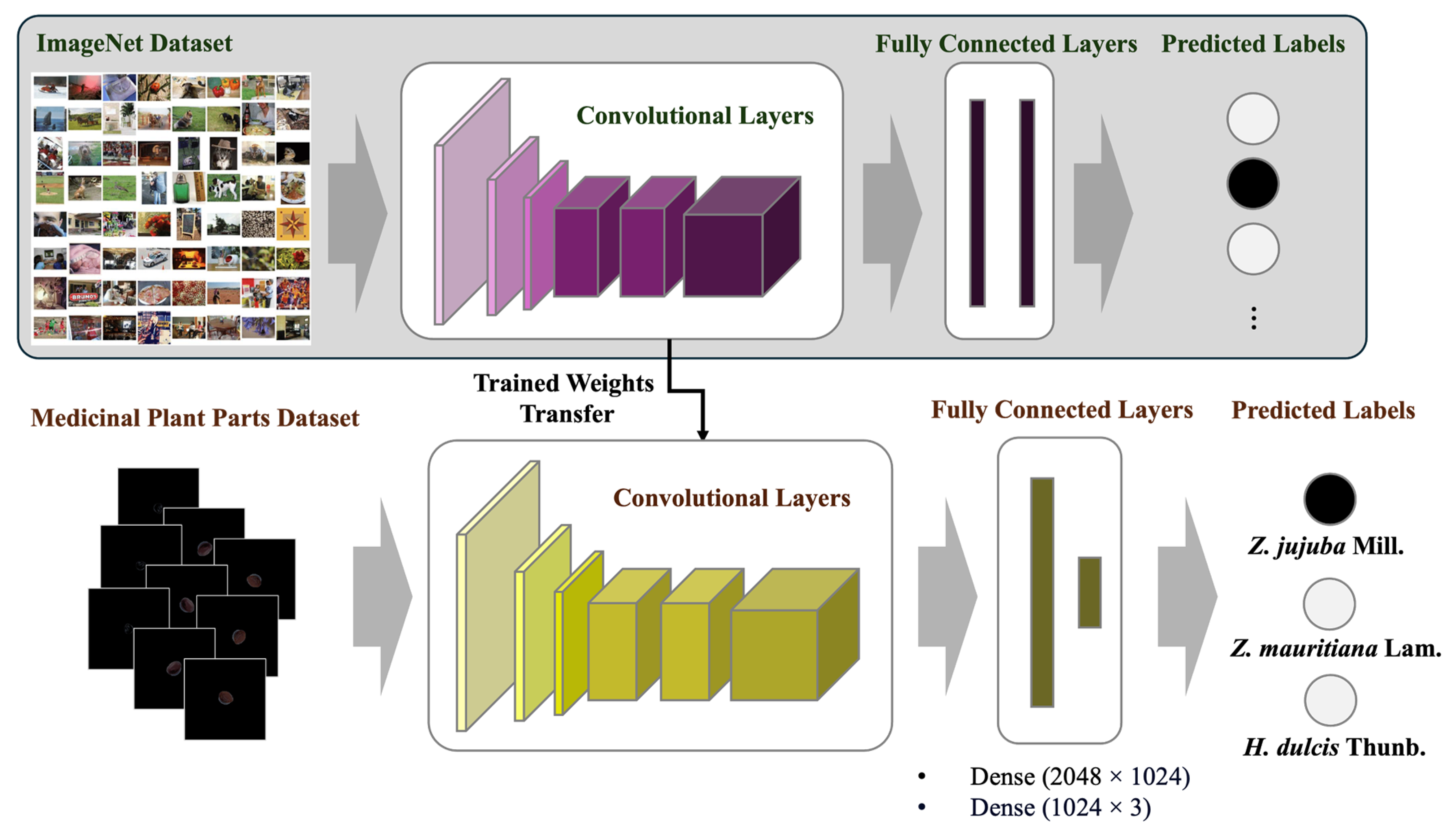 Agriengineering 06 00263 g004 Agriengineering 06 00263 g004