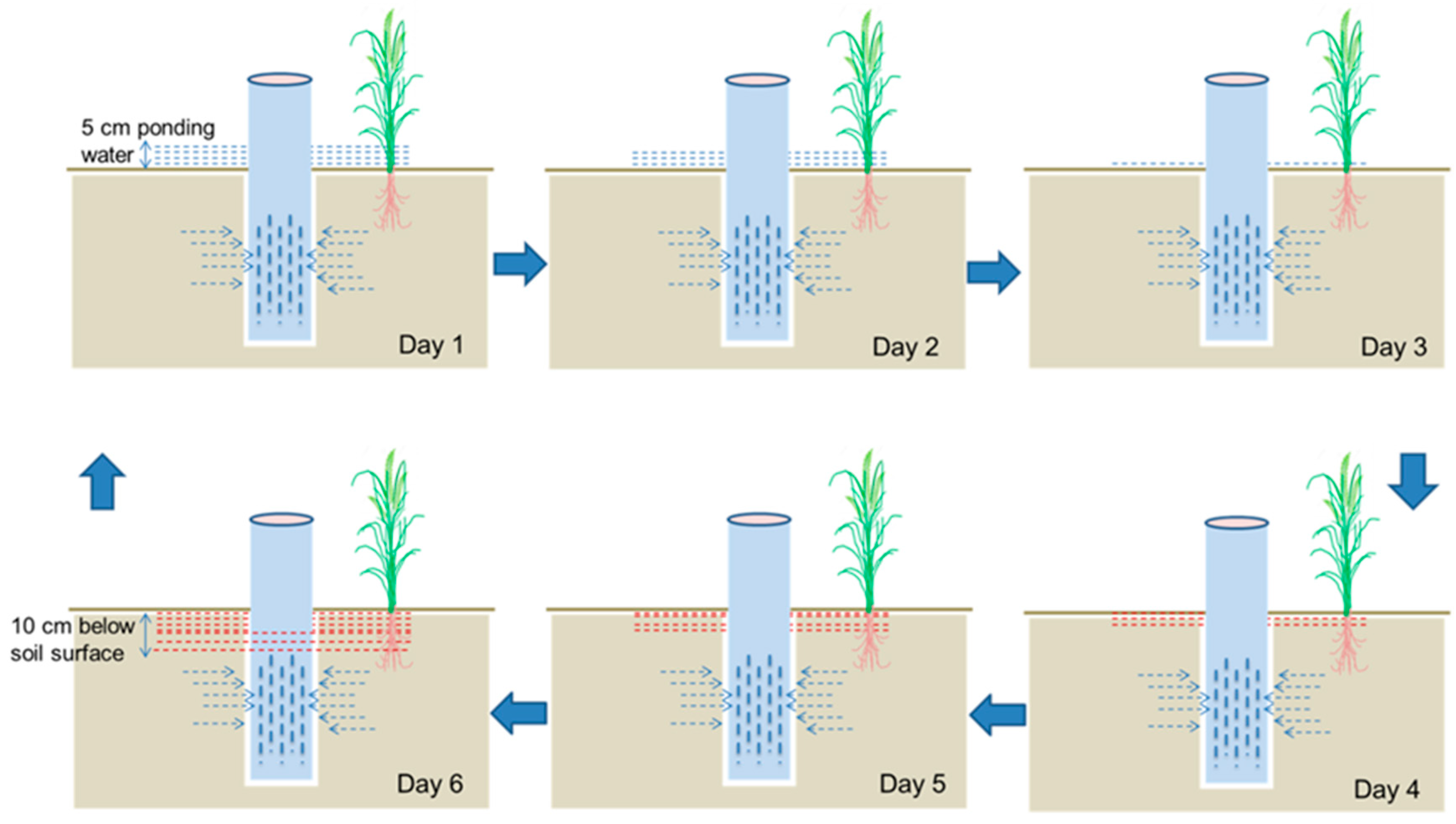 Agriengineering 06 00270 g003 Agriengineering 06 00270 g003
