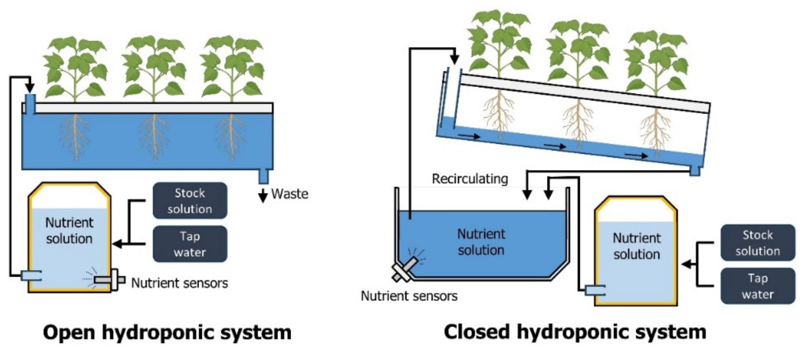 Agriengineering 06 00274 g002
