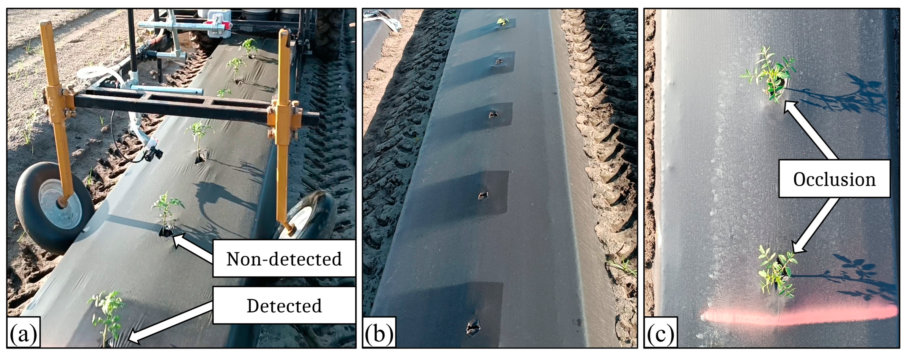 Agriengineering 07 00002 g006