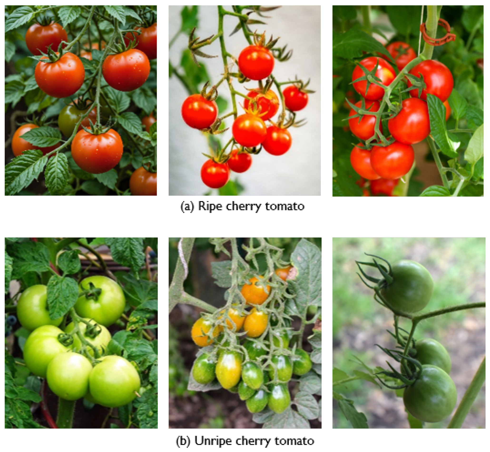 Agriengineering 07 00008 g002