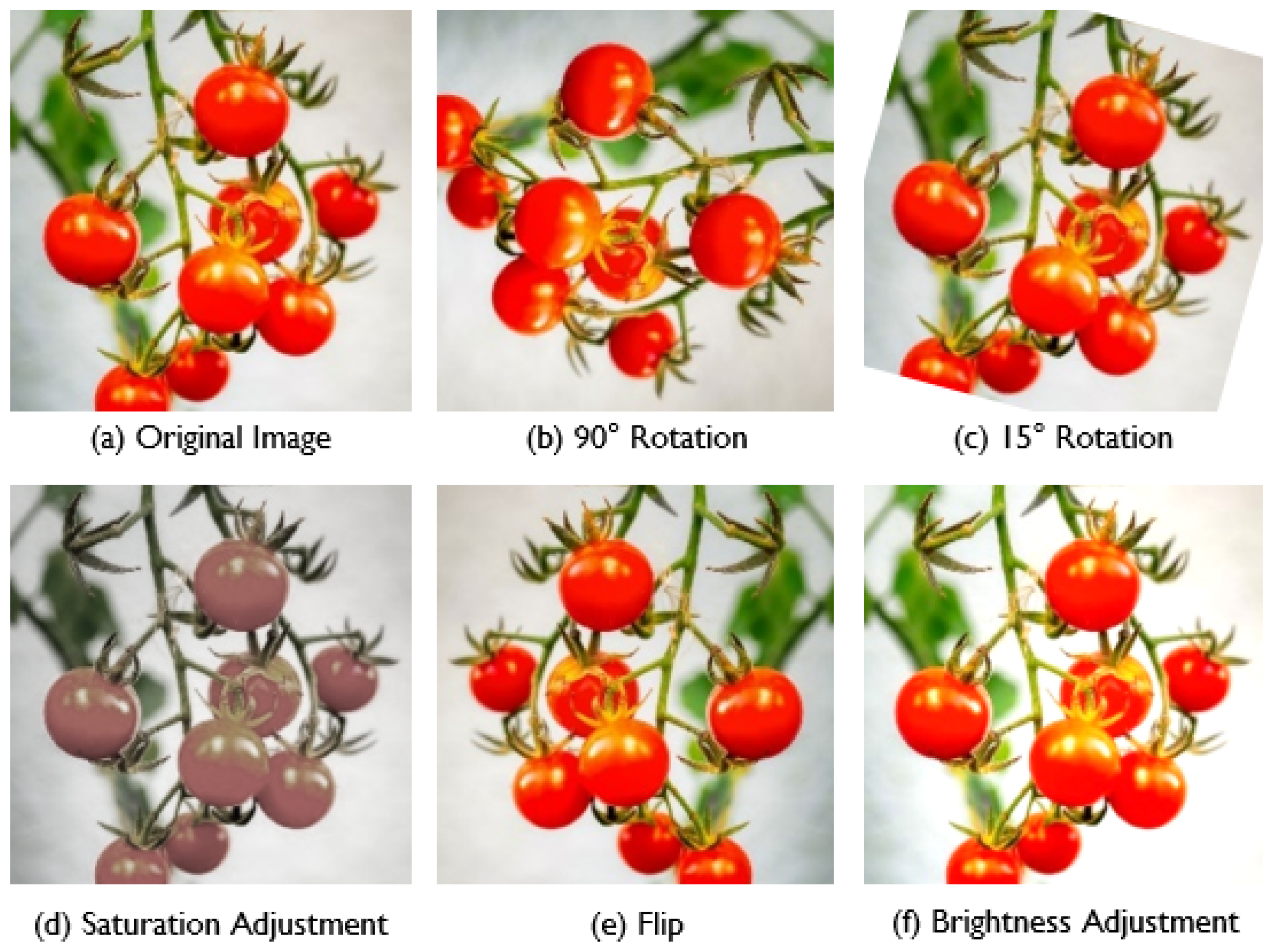 Agriengineering 07 00008 g003