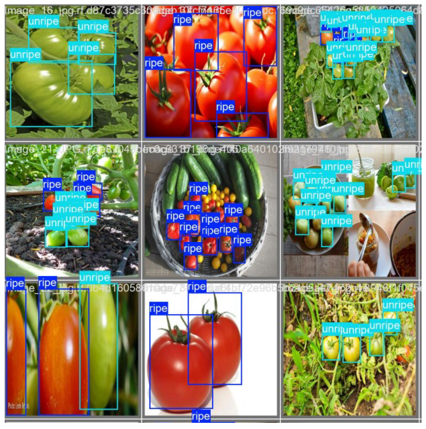 Agriengineering 07 00008 g006