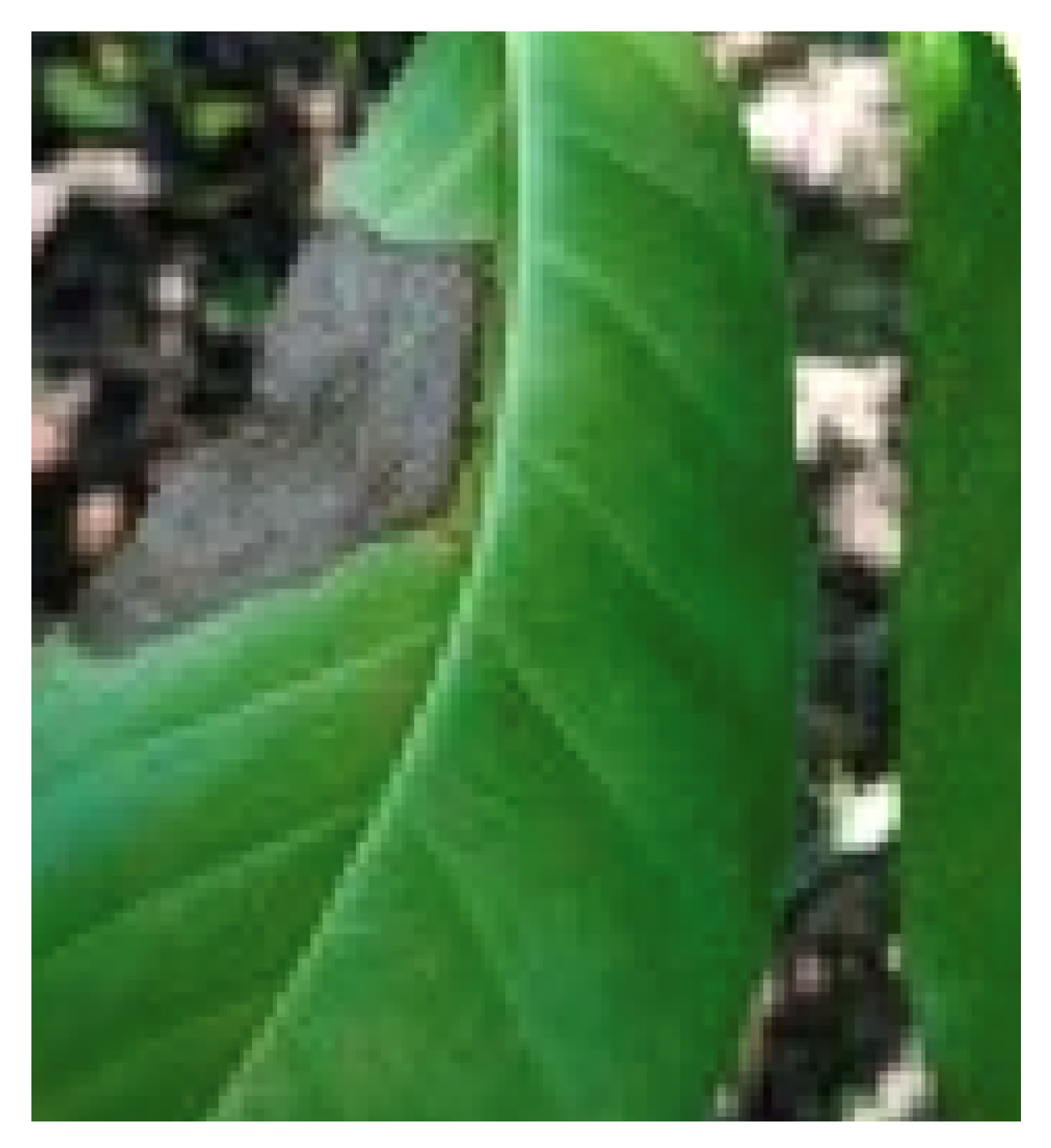 Agriengineering 07 00013 g003