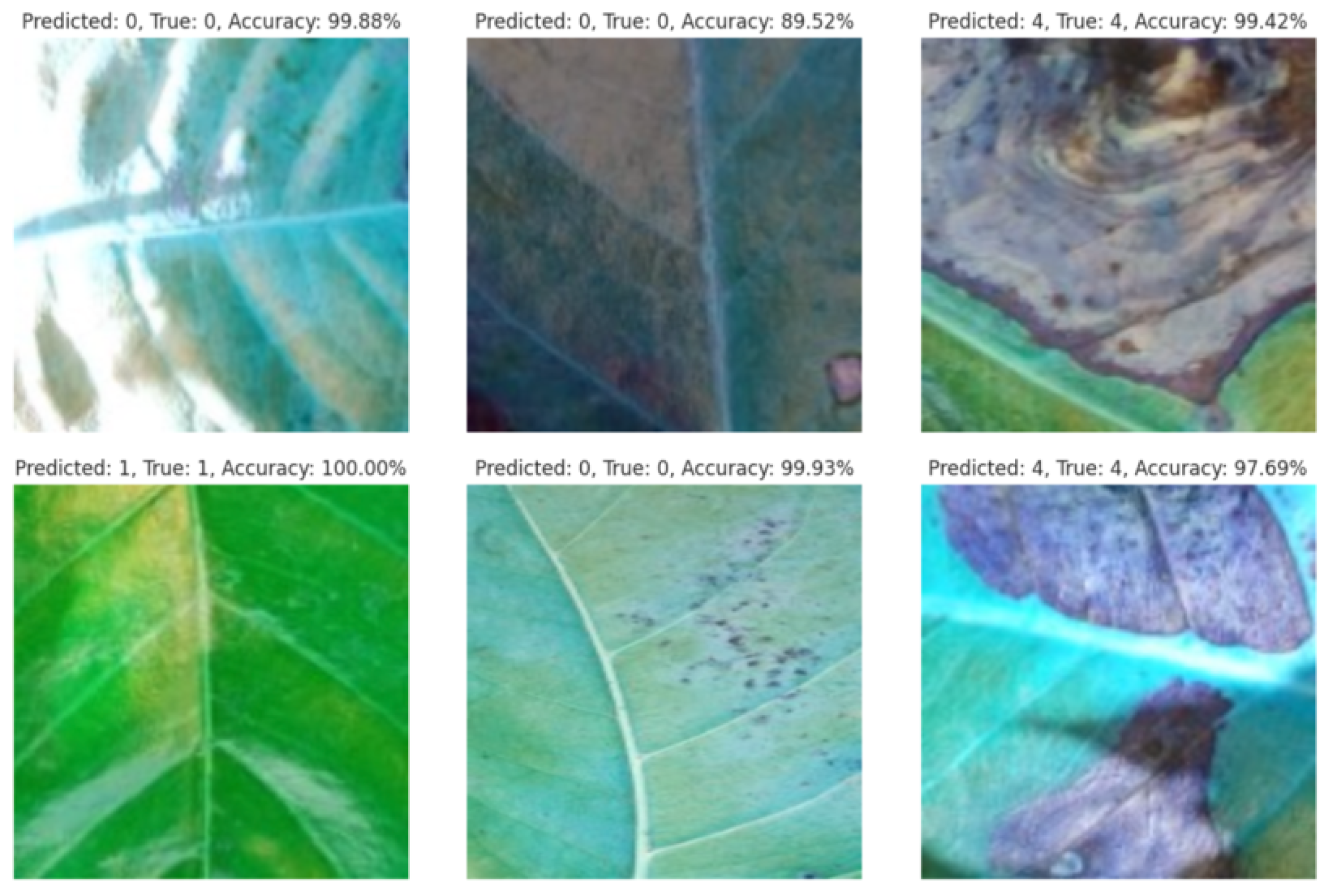 Agriengineering 07 00013 g009