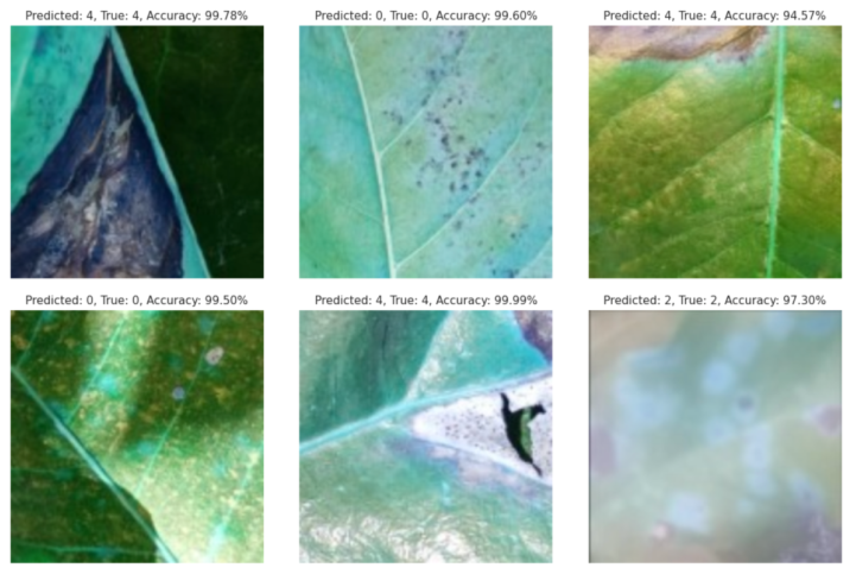 Agriengineering 07 00013 g011