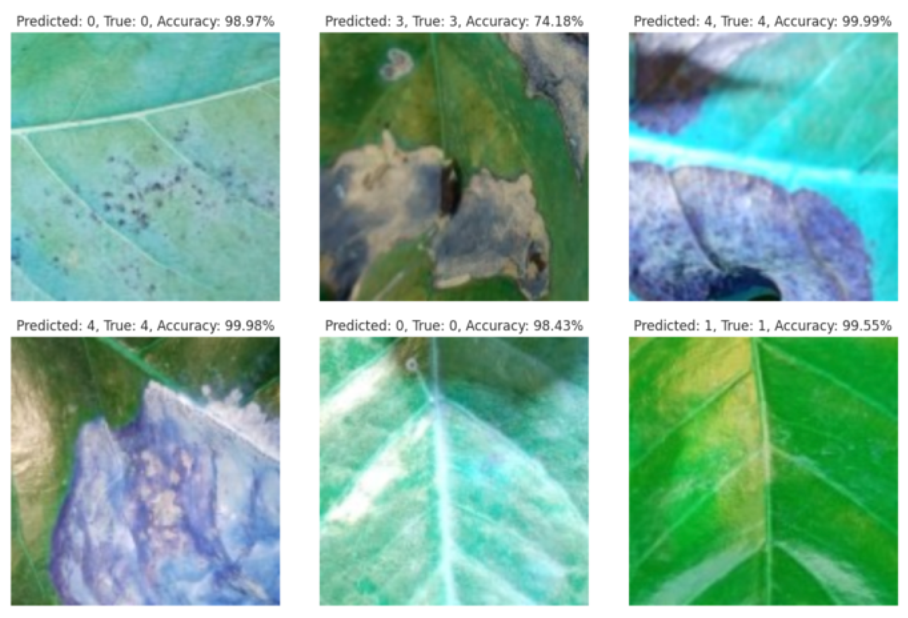 Agriengineering 07 00013 g015