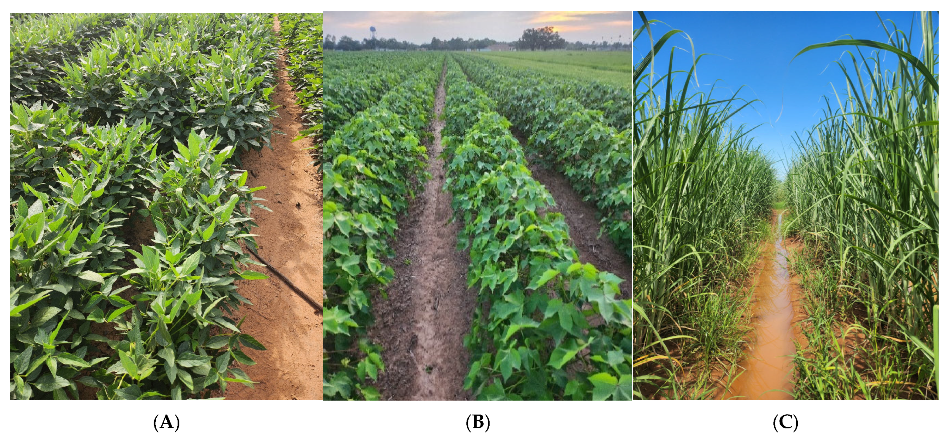 Agriengineering 07 00022 g002