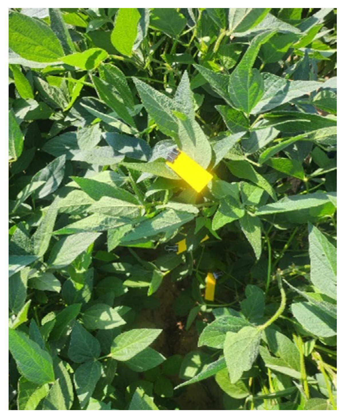 Agriengineering 07 00022 g003