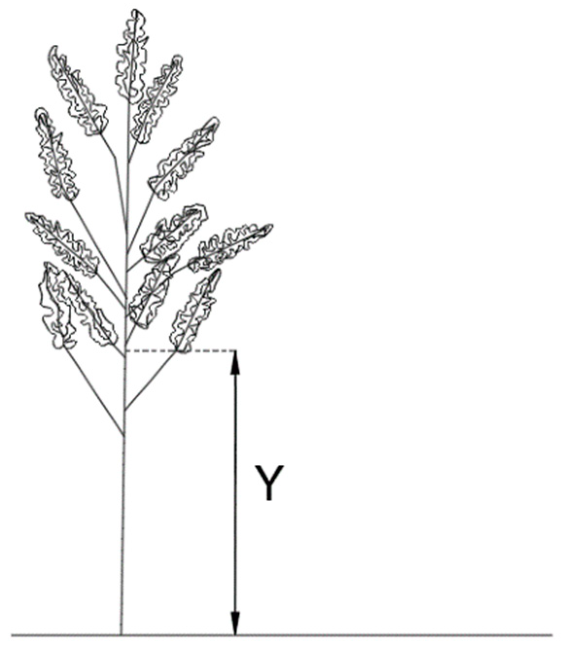 Agriengineering 07 00038 g006