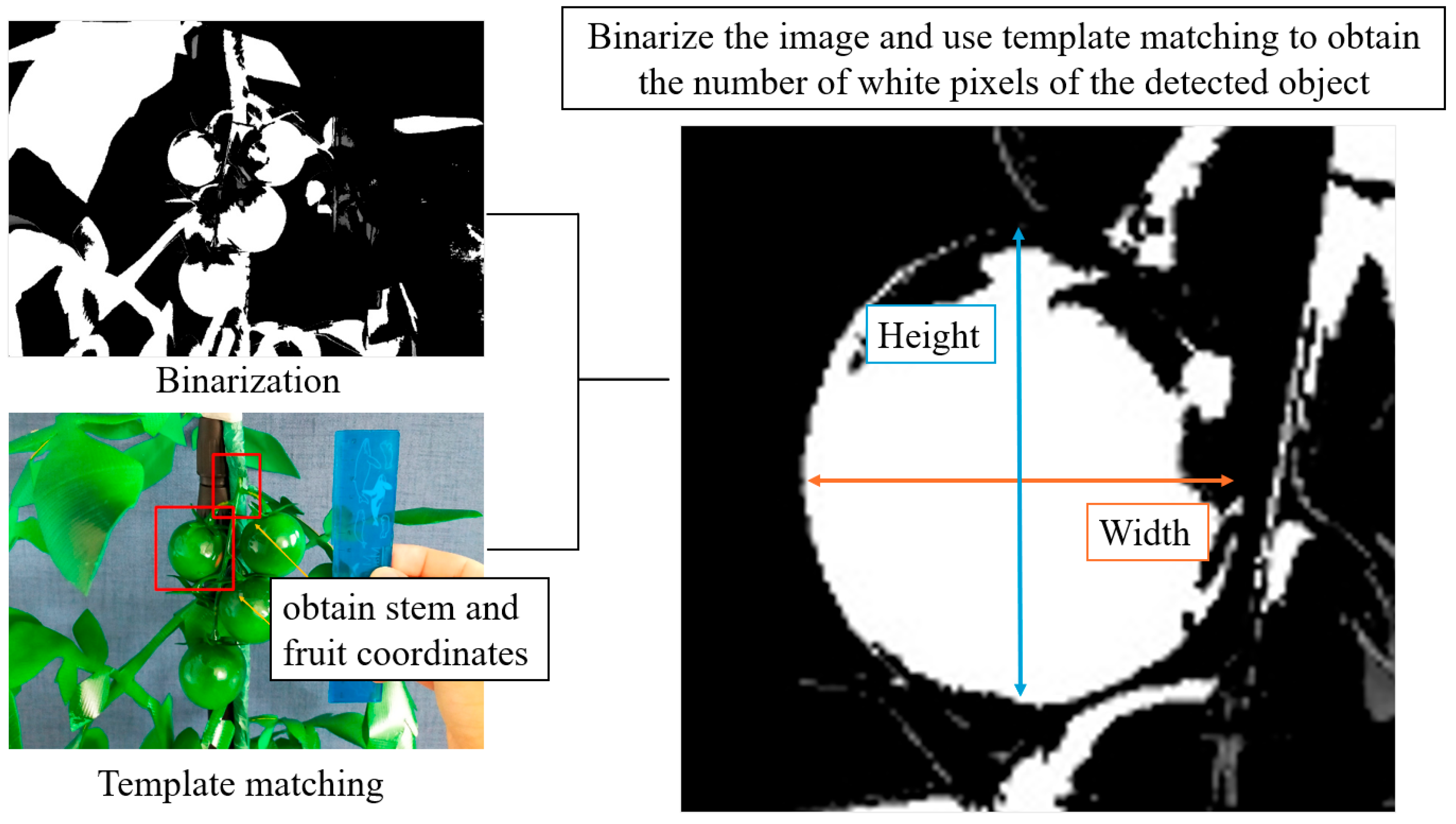 Agriengineering 07 00048 g006