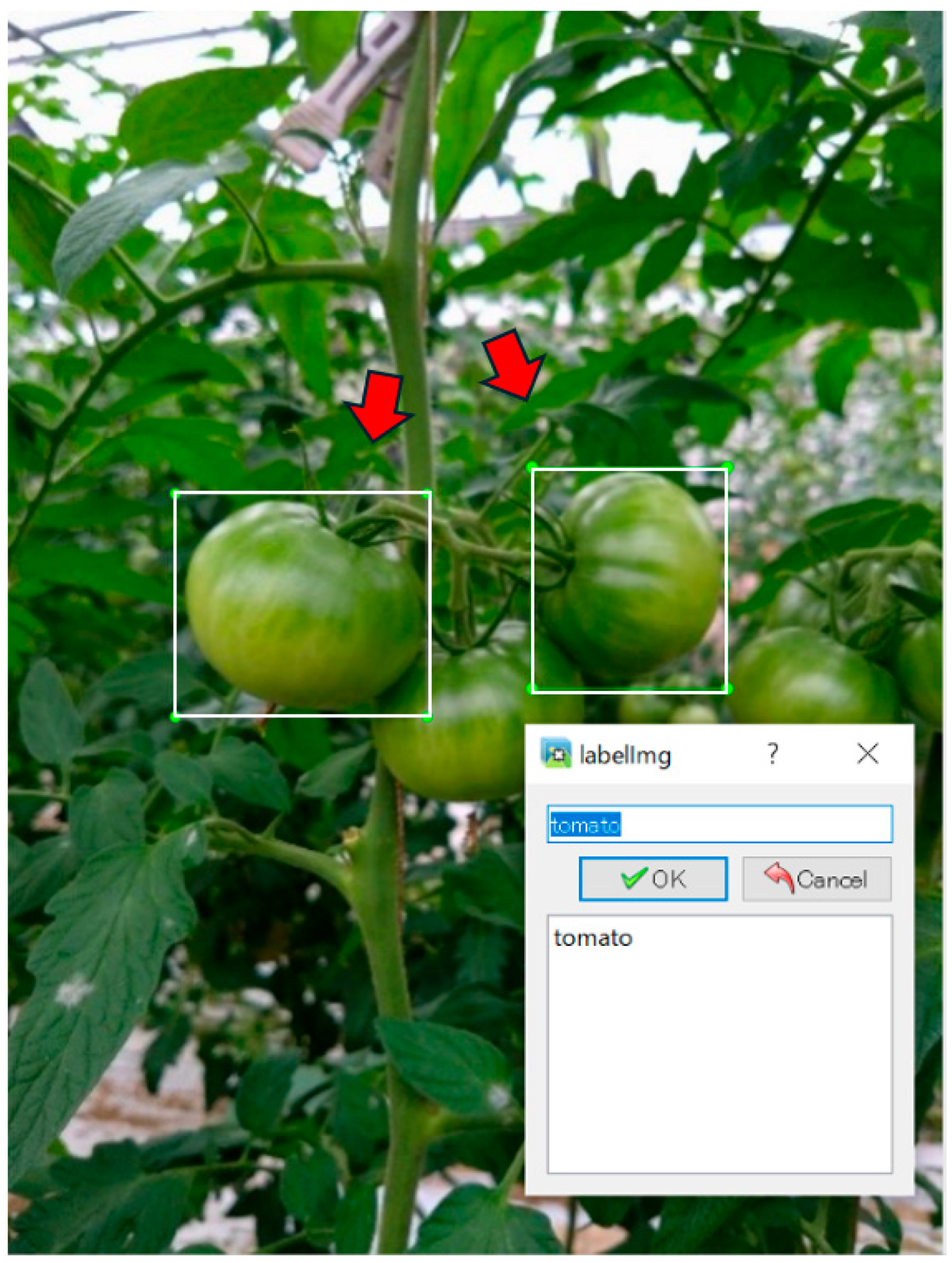 Agriengineering 07 00048 g007