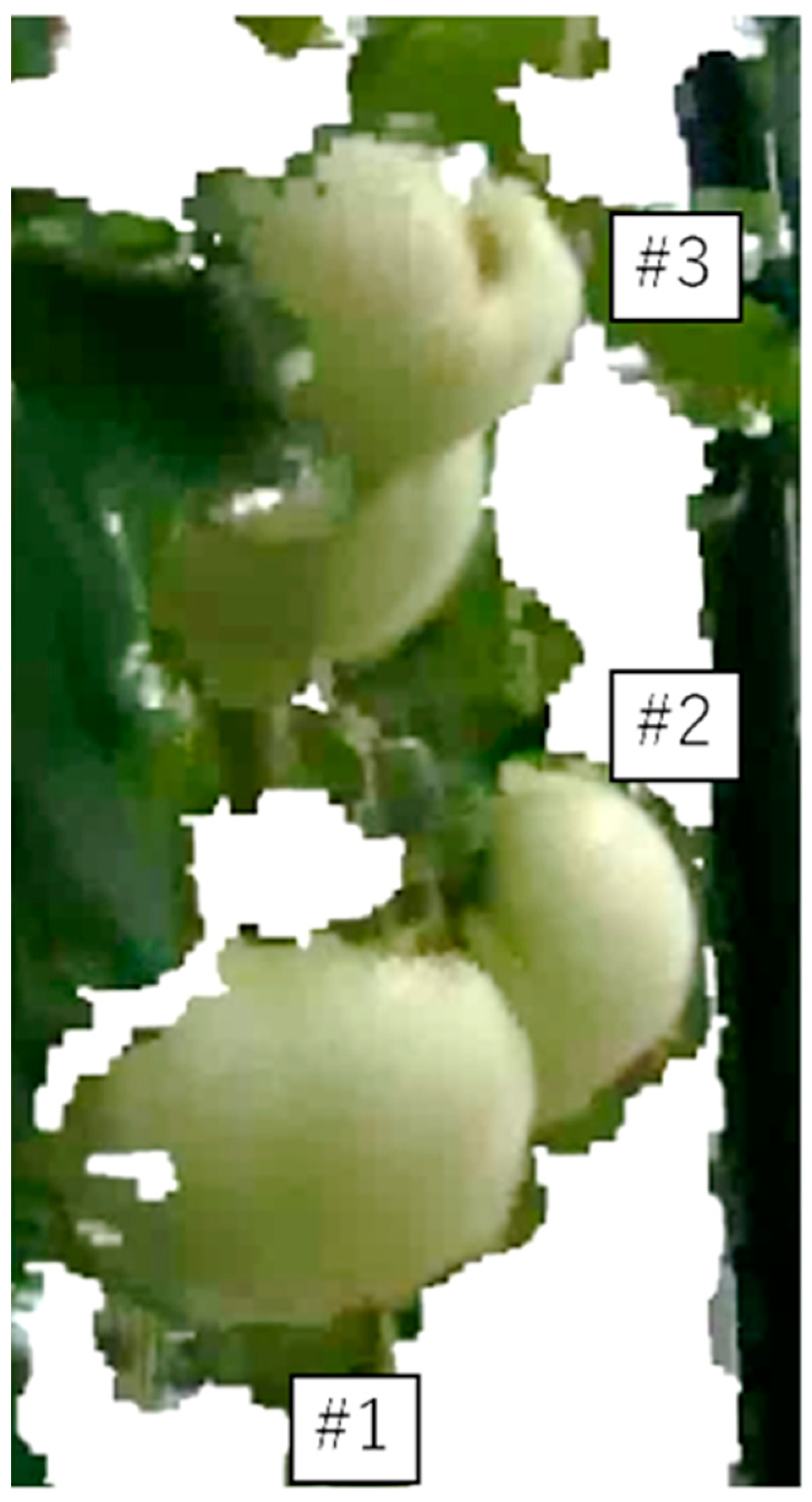 Agriengineering 07 00048 g015