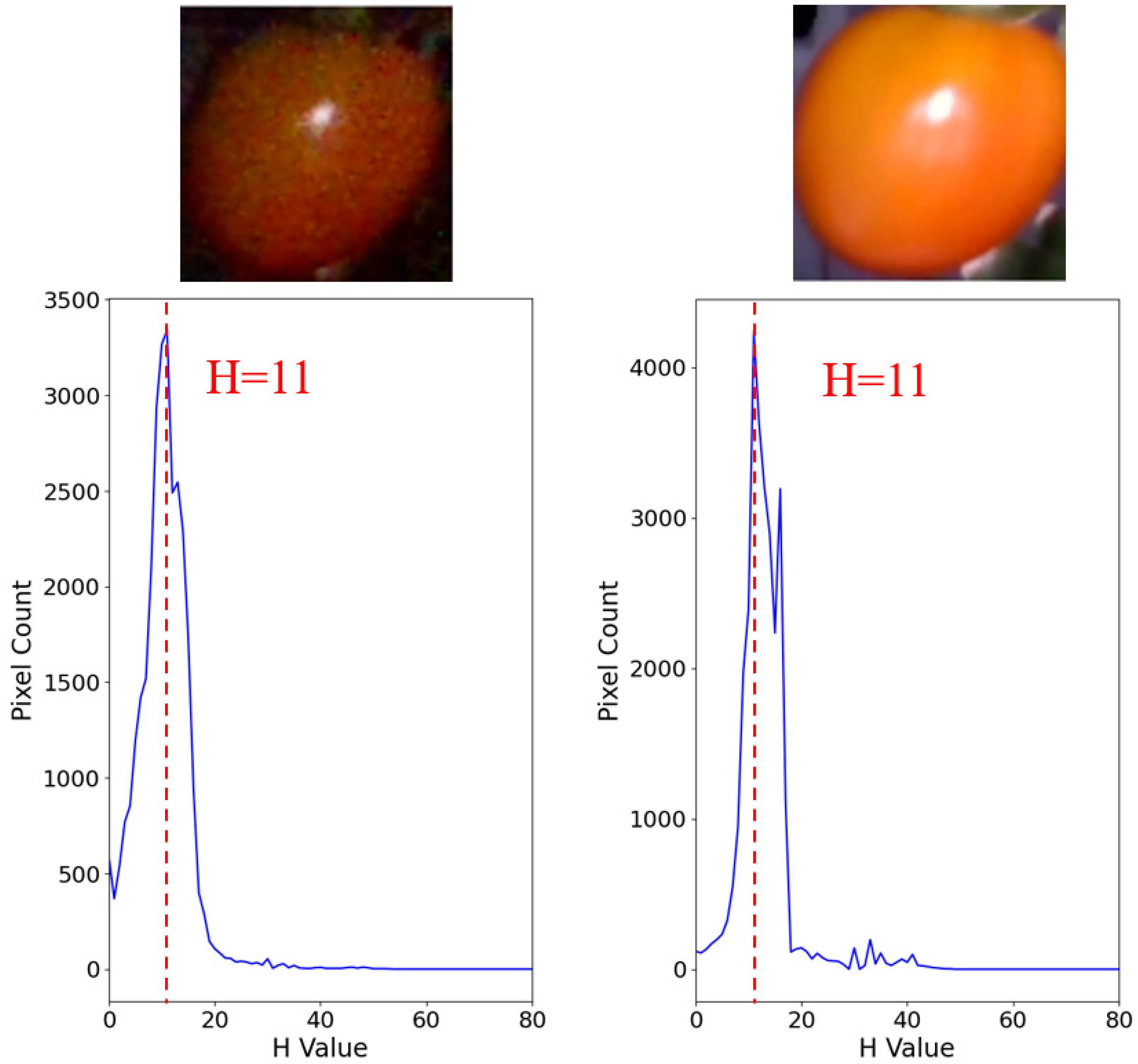 Agriengineering 07 00048 g020