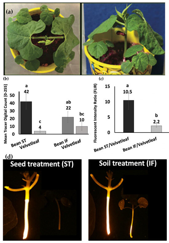 Agriengineering 07 00049 g009