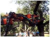 Agriengineering 07 00052 i004