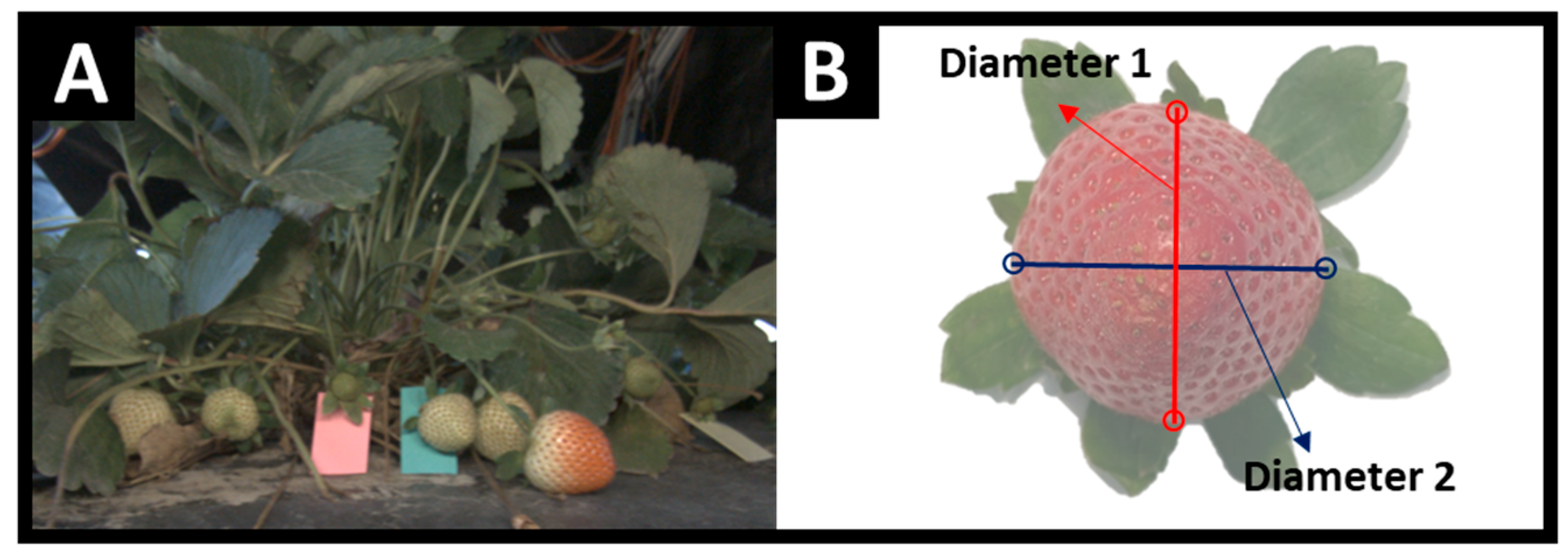 Agriengineering 07 00081 g003