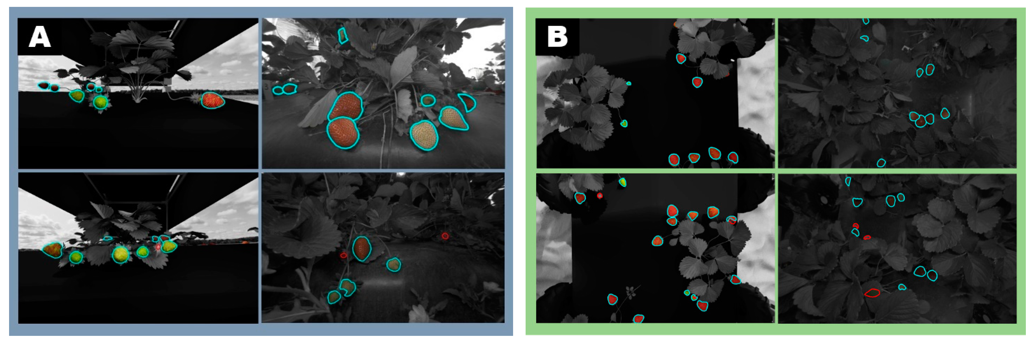 Agriengineering 07 00081 g011