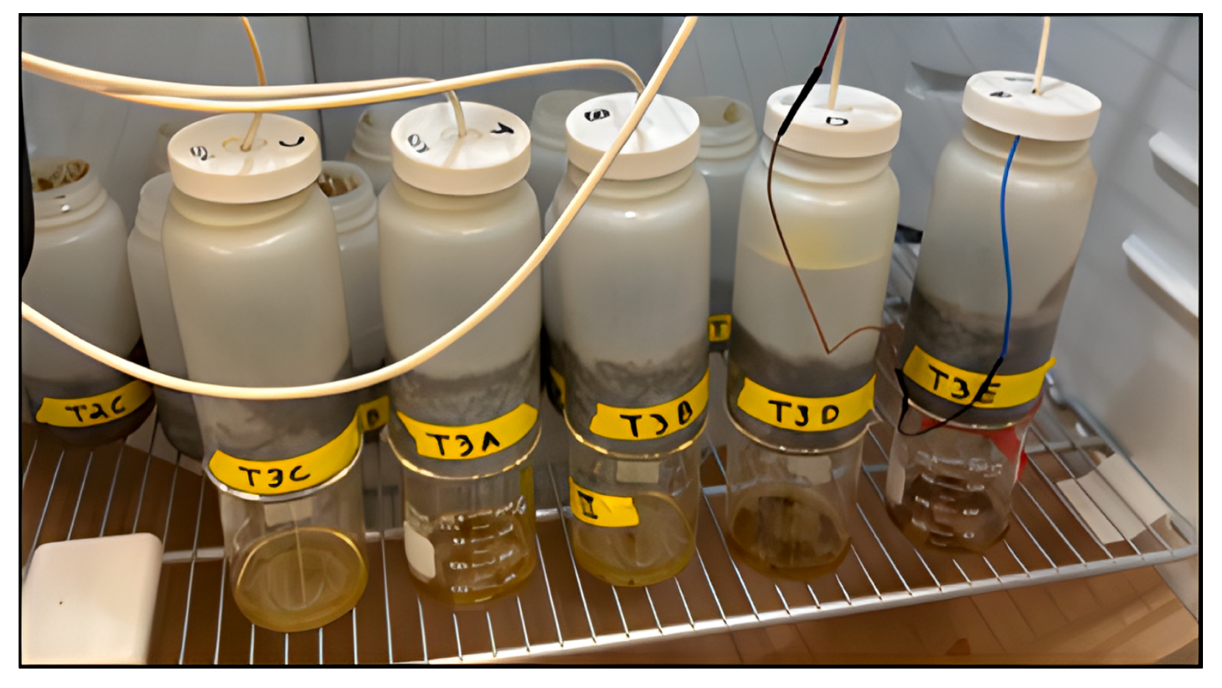 Agriengineering 07 00085 g008