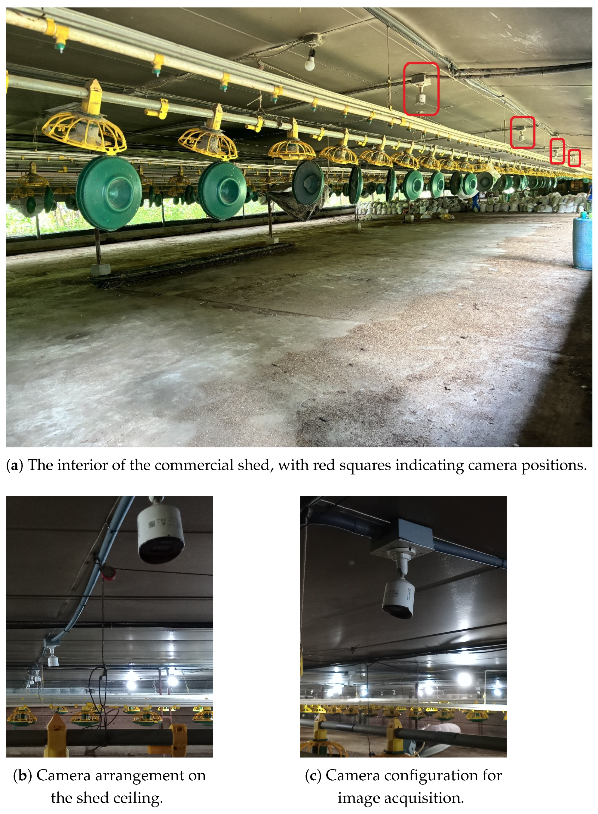 Agriengineering 07 00086 g004