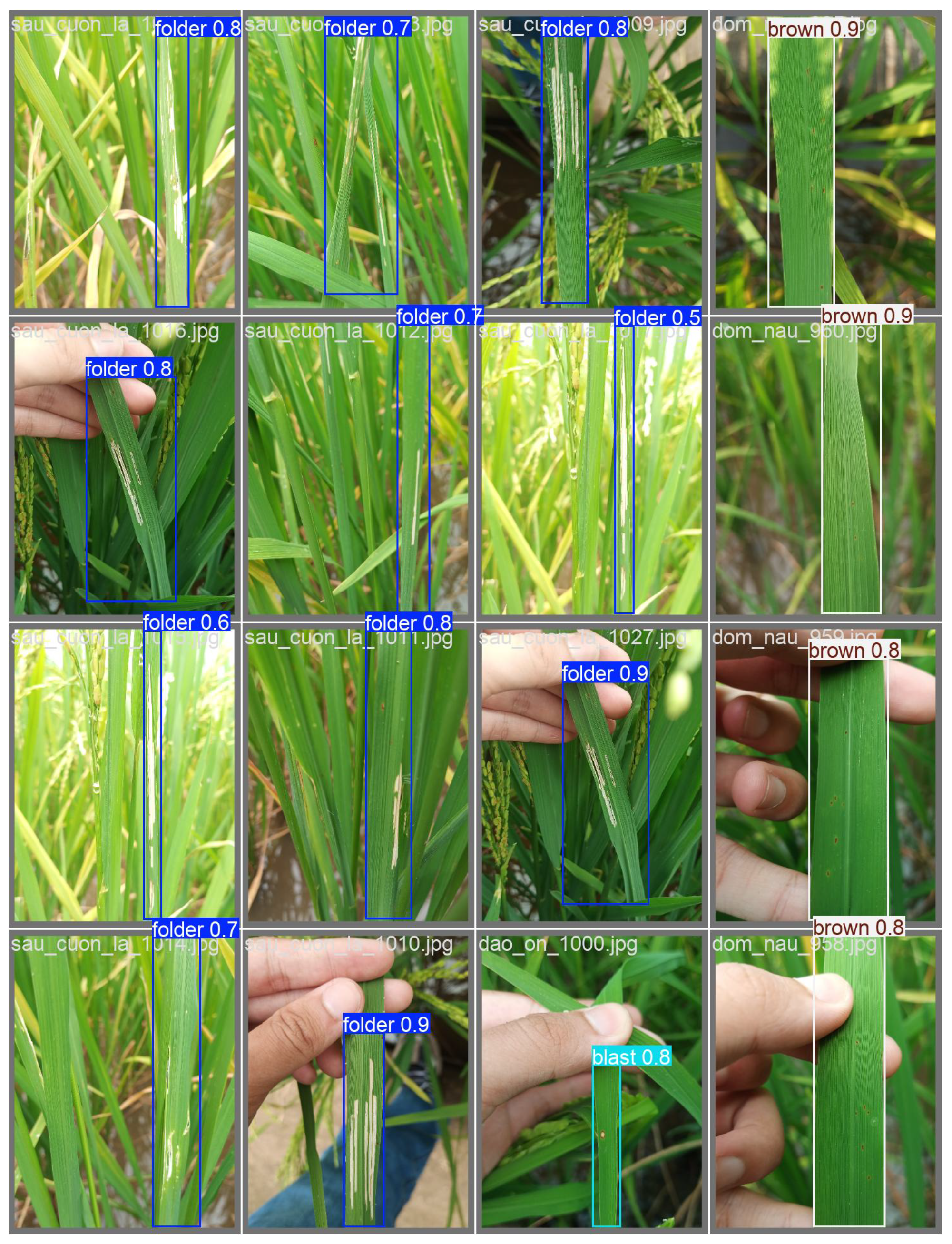 Agriengineering 07 00093 g014