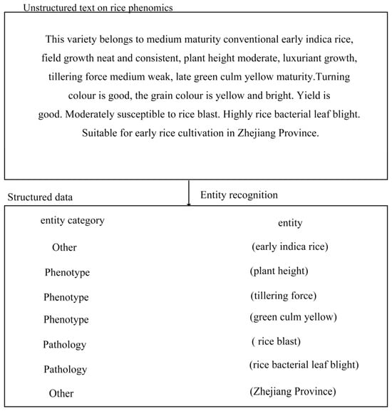 Agriengineering 07 00094 g001