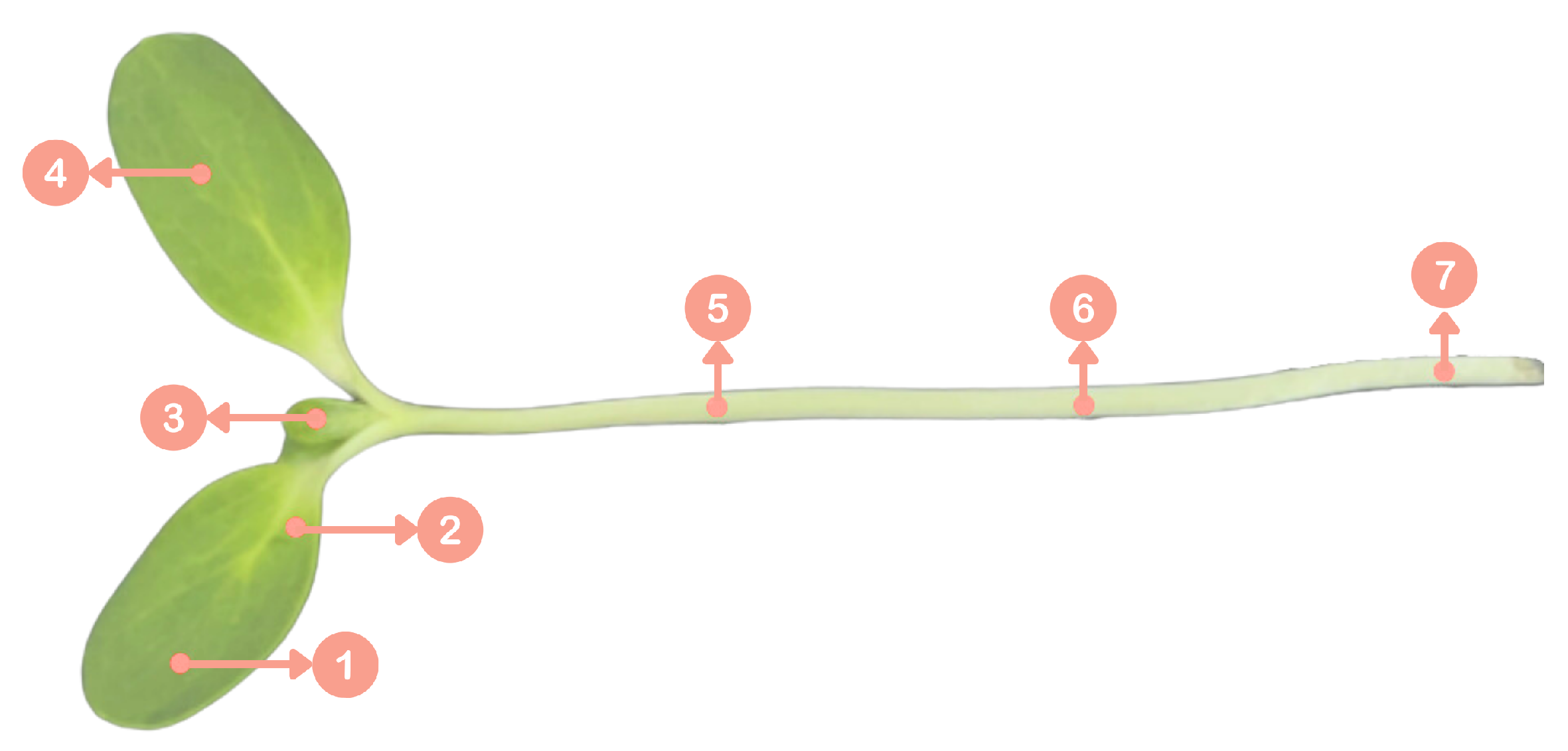 Agriengineering 07 00107 g006