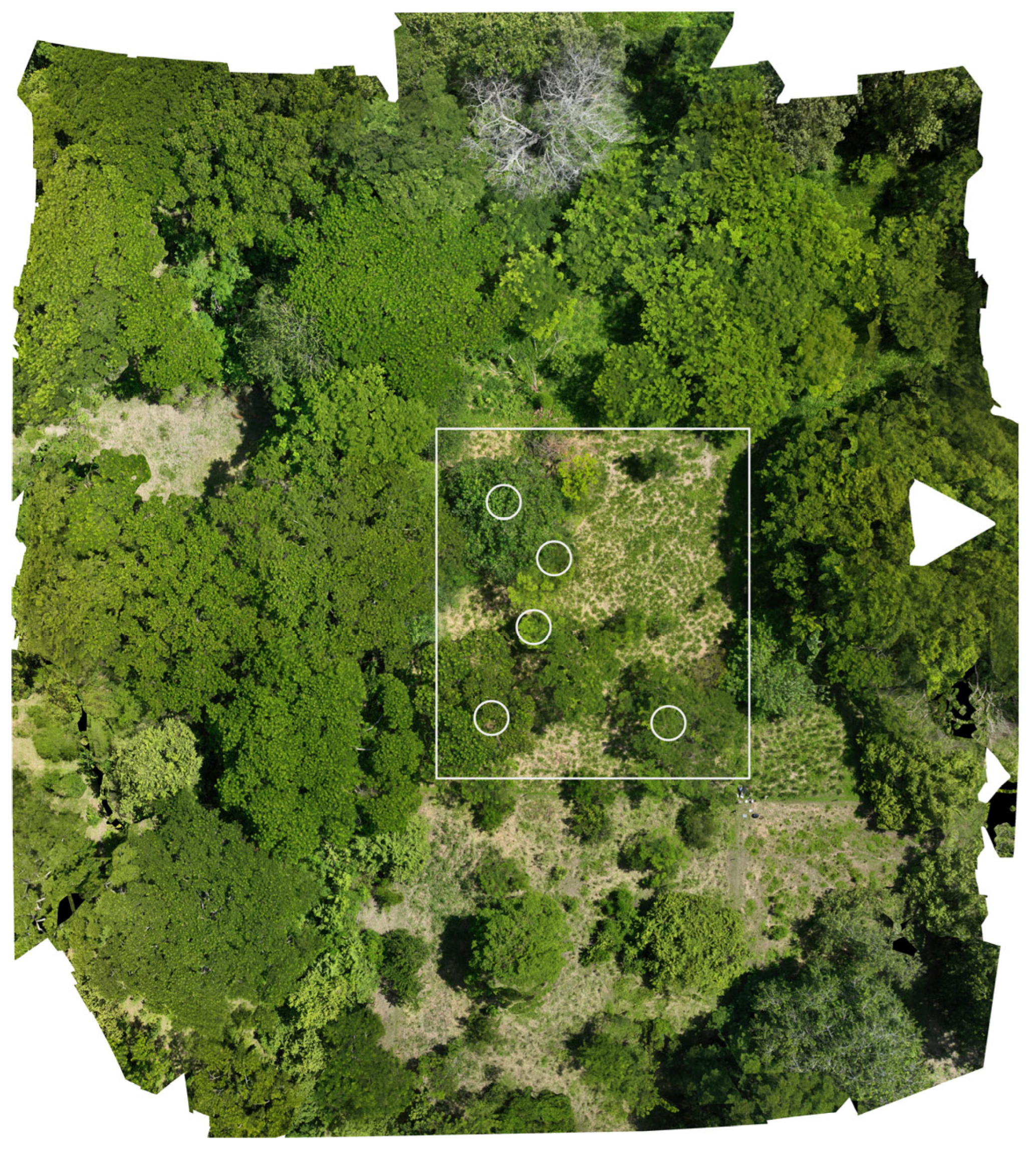 Agriengineering 07 00111 g001