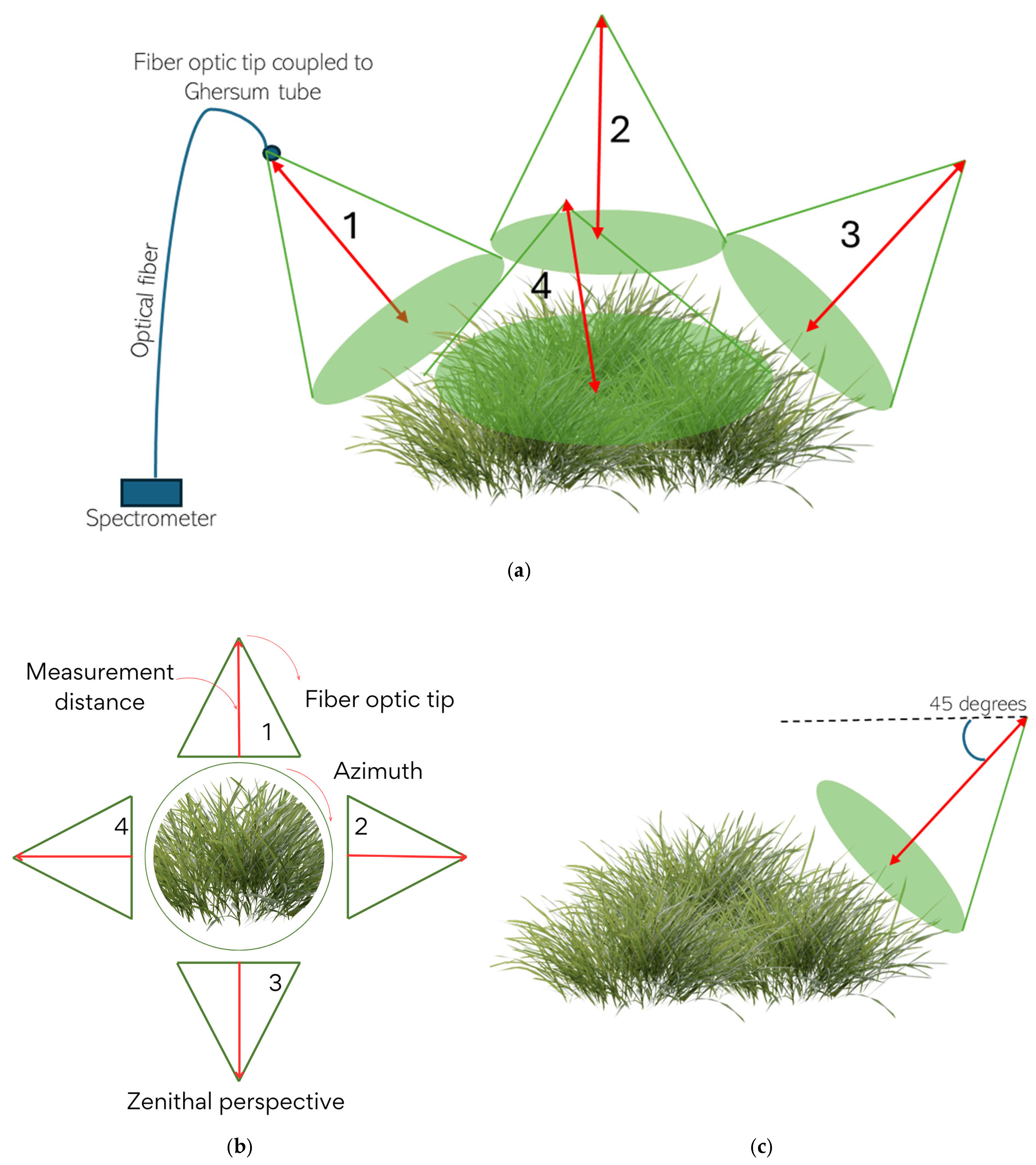 Agriengineering 07 00111 g003
