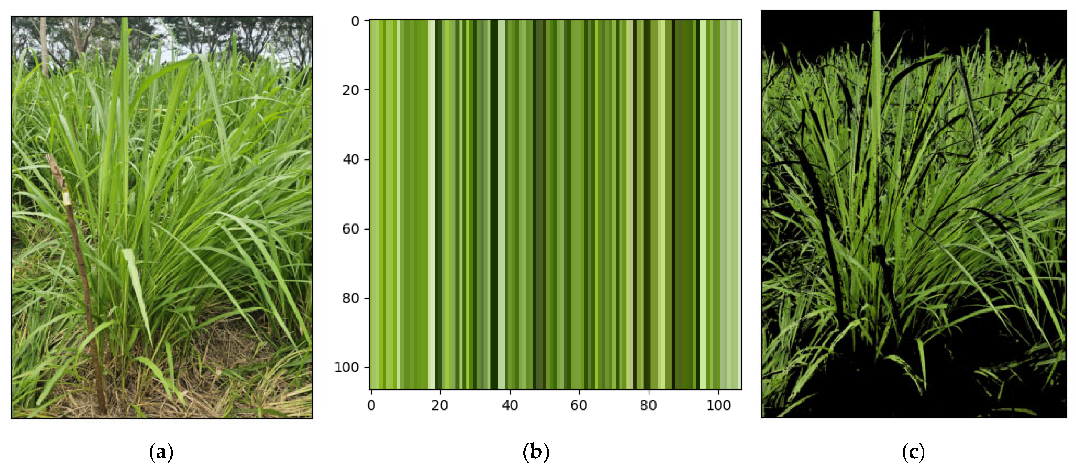 Agriengineering 07 00111 g005